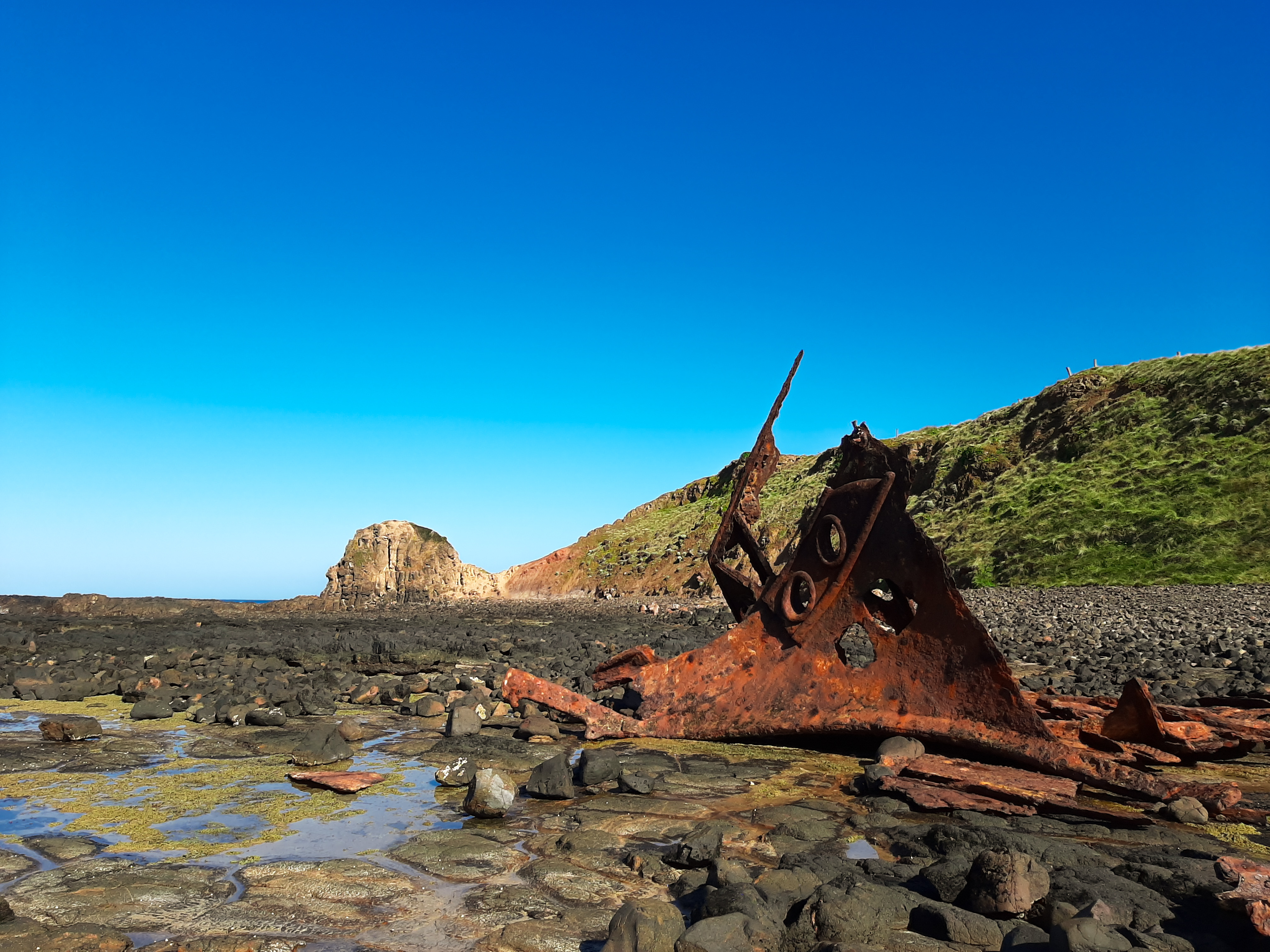 Kitty Miller Bay Walk 1