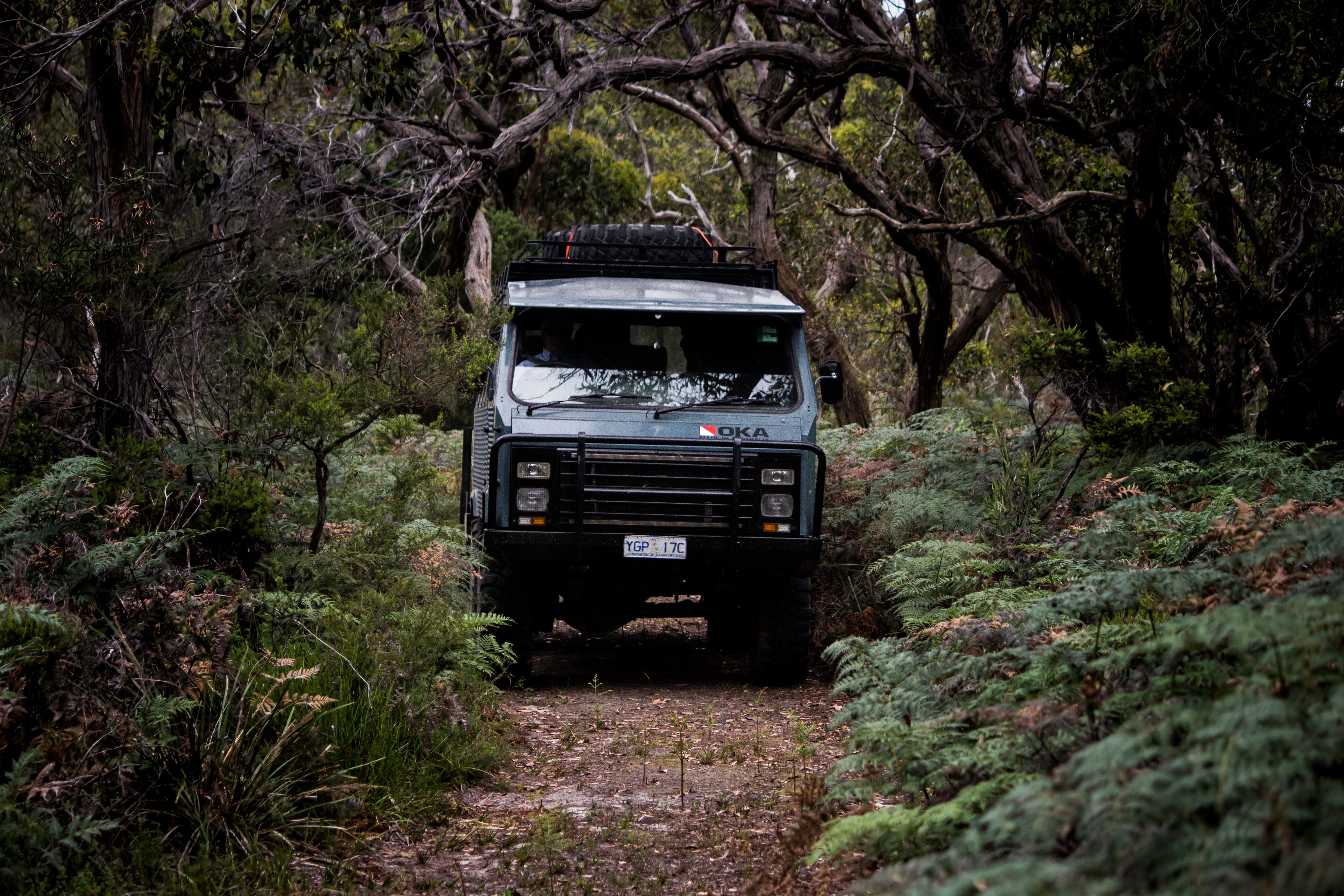 Naturaliste Tours 4 Wheel Driving Phillip Island