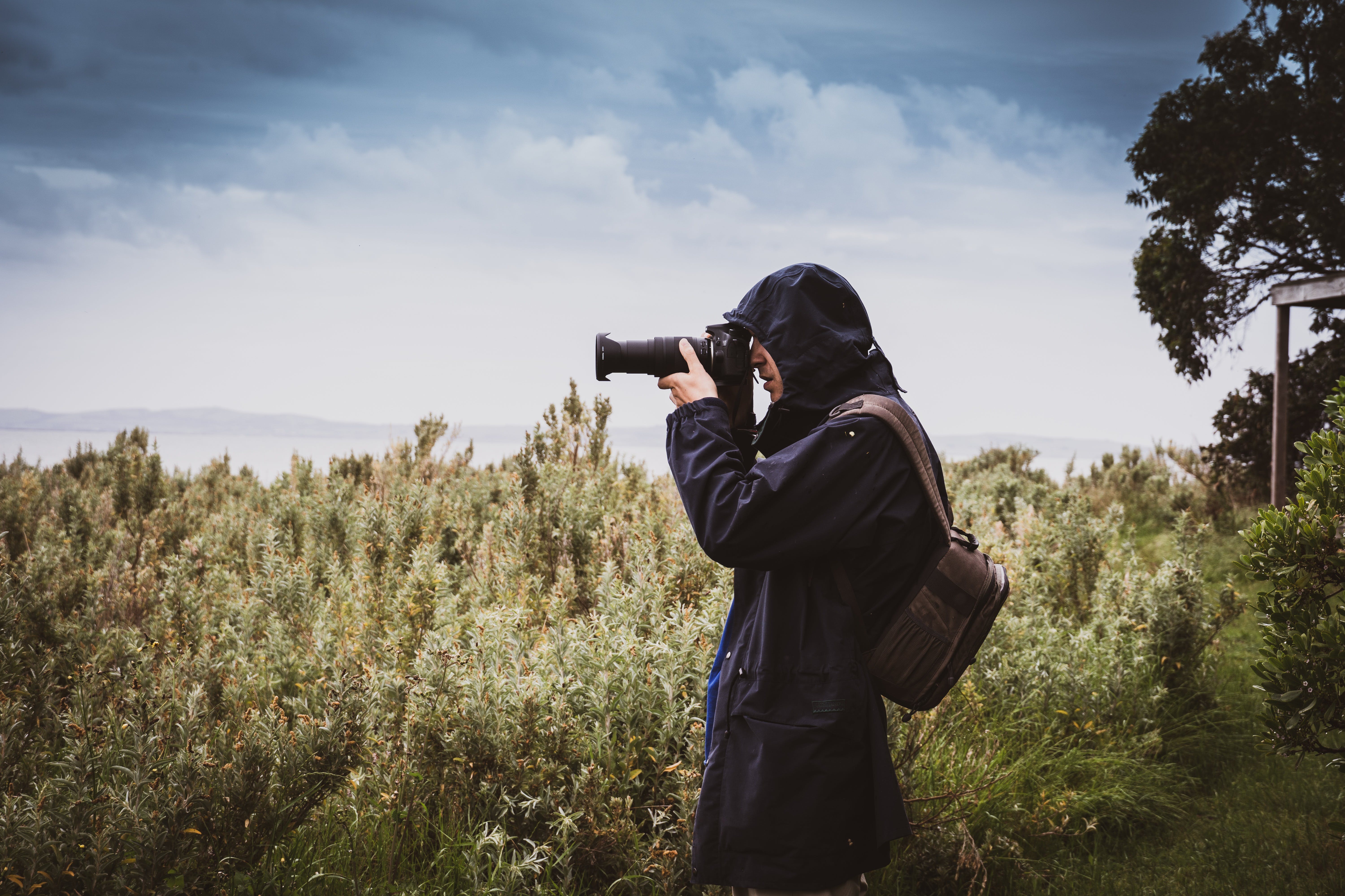 Naturaliste Tours Bird Watching Phillip Island