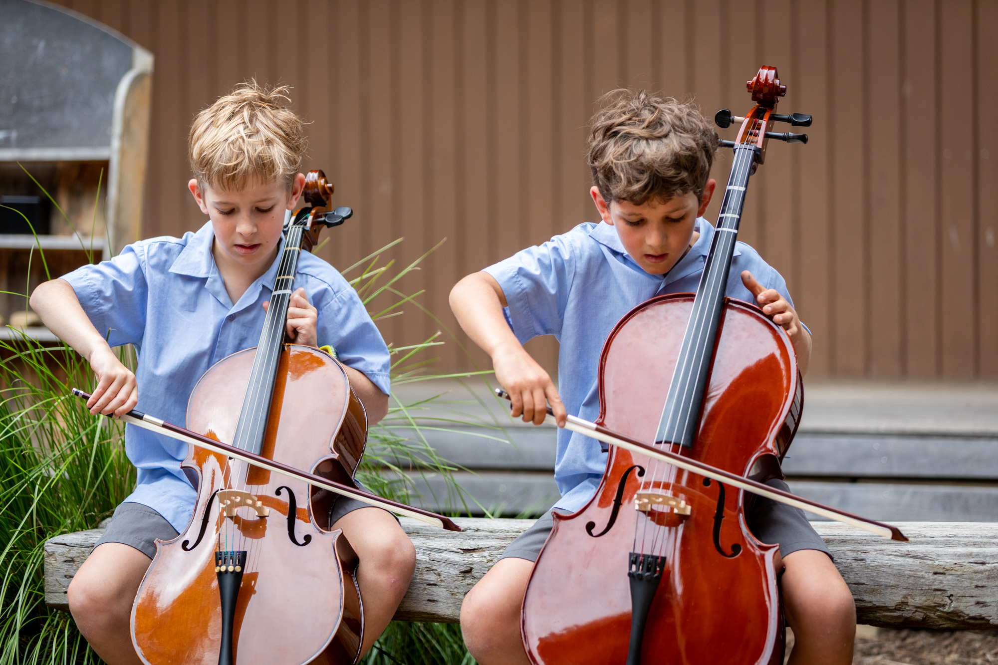Newhaven College music