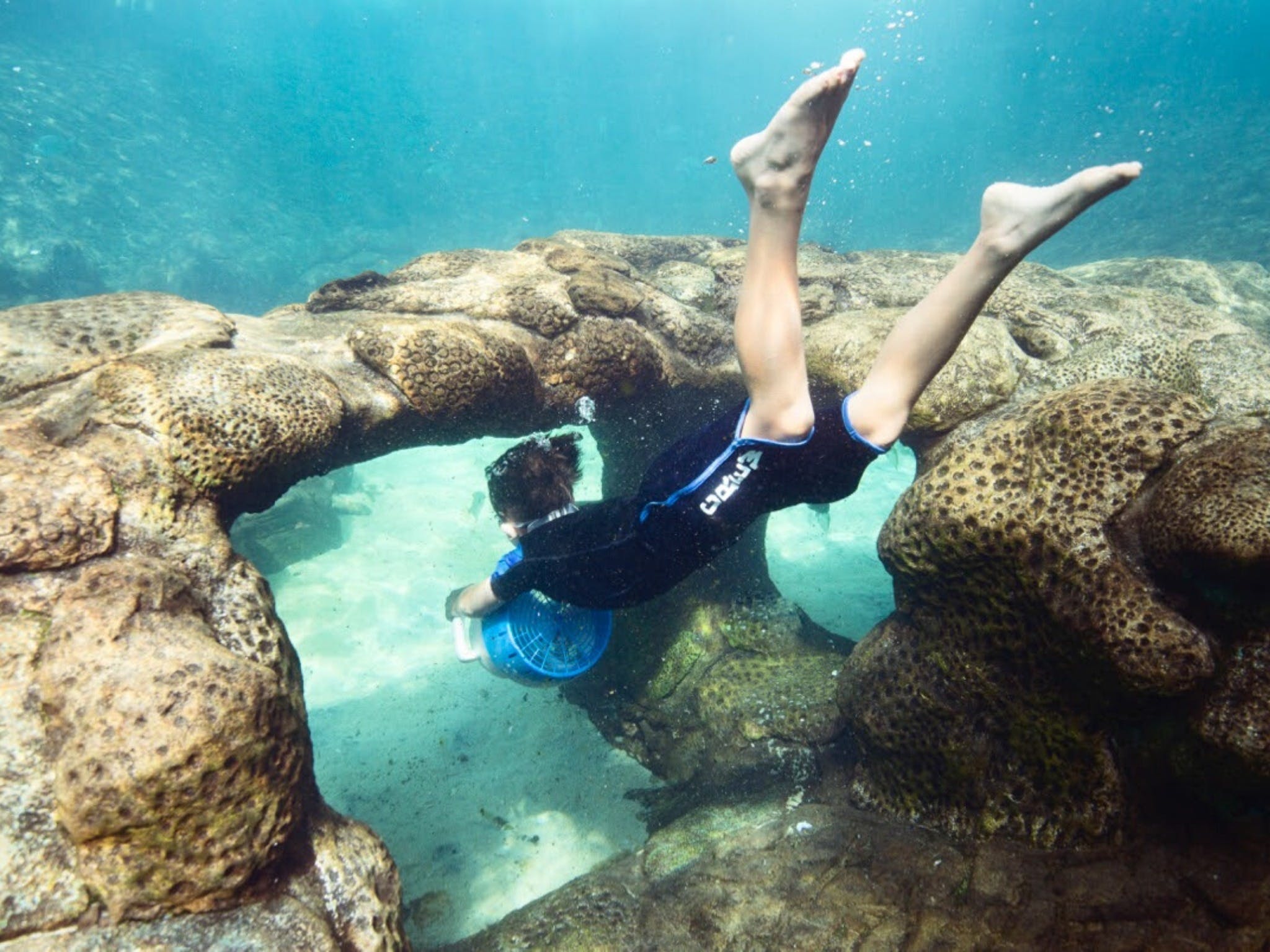 Ocean Adventure Scuba Diving Phillip Island