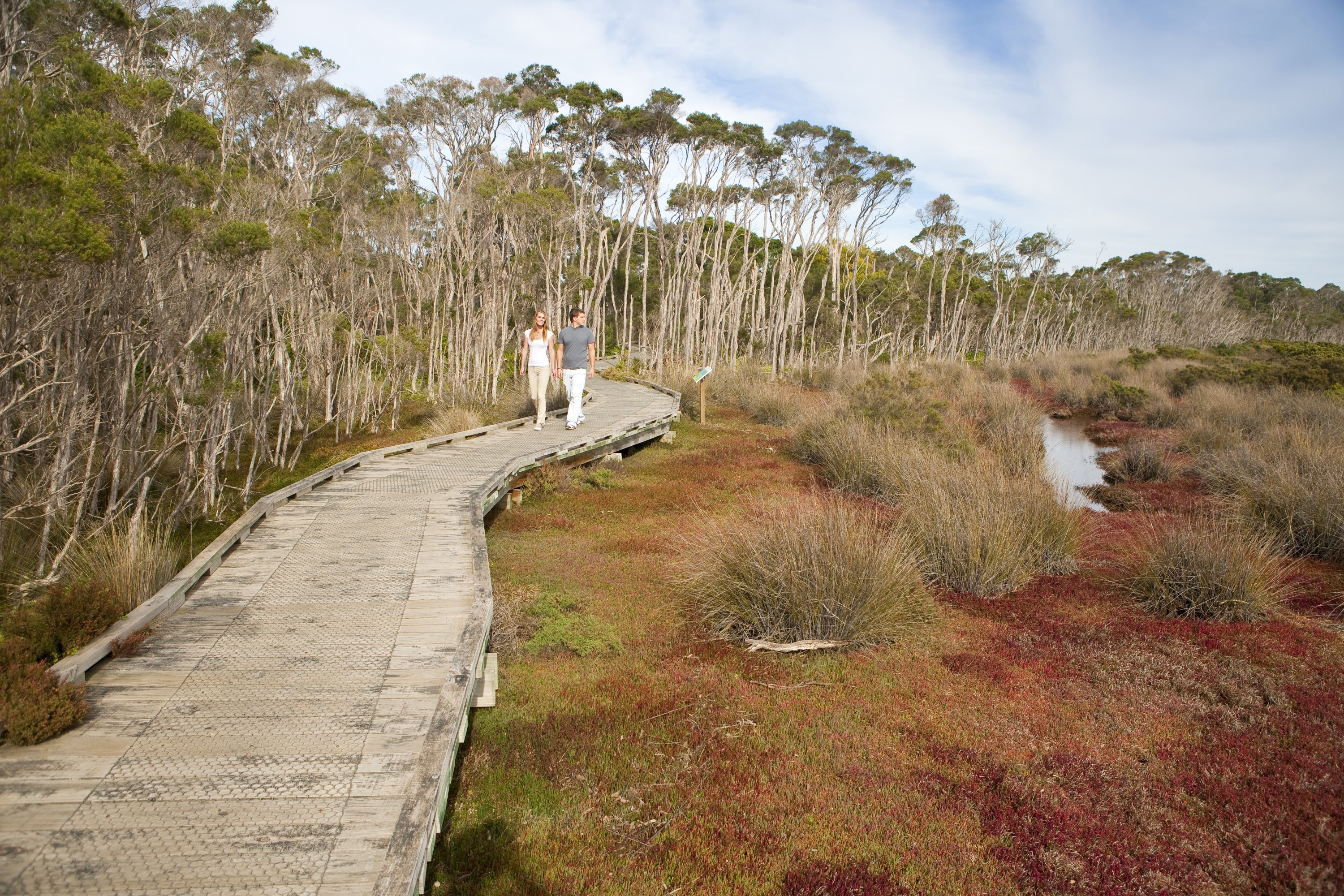 Rhyll Inlet Walk 1