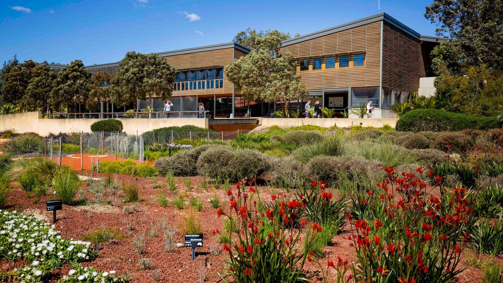 Royal Cranbourne gardens vv com 3