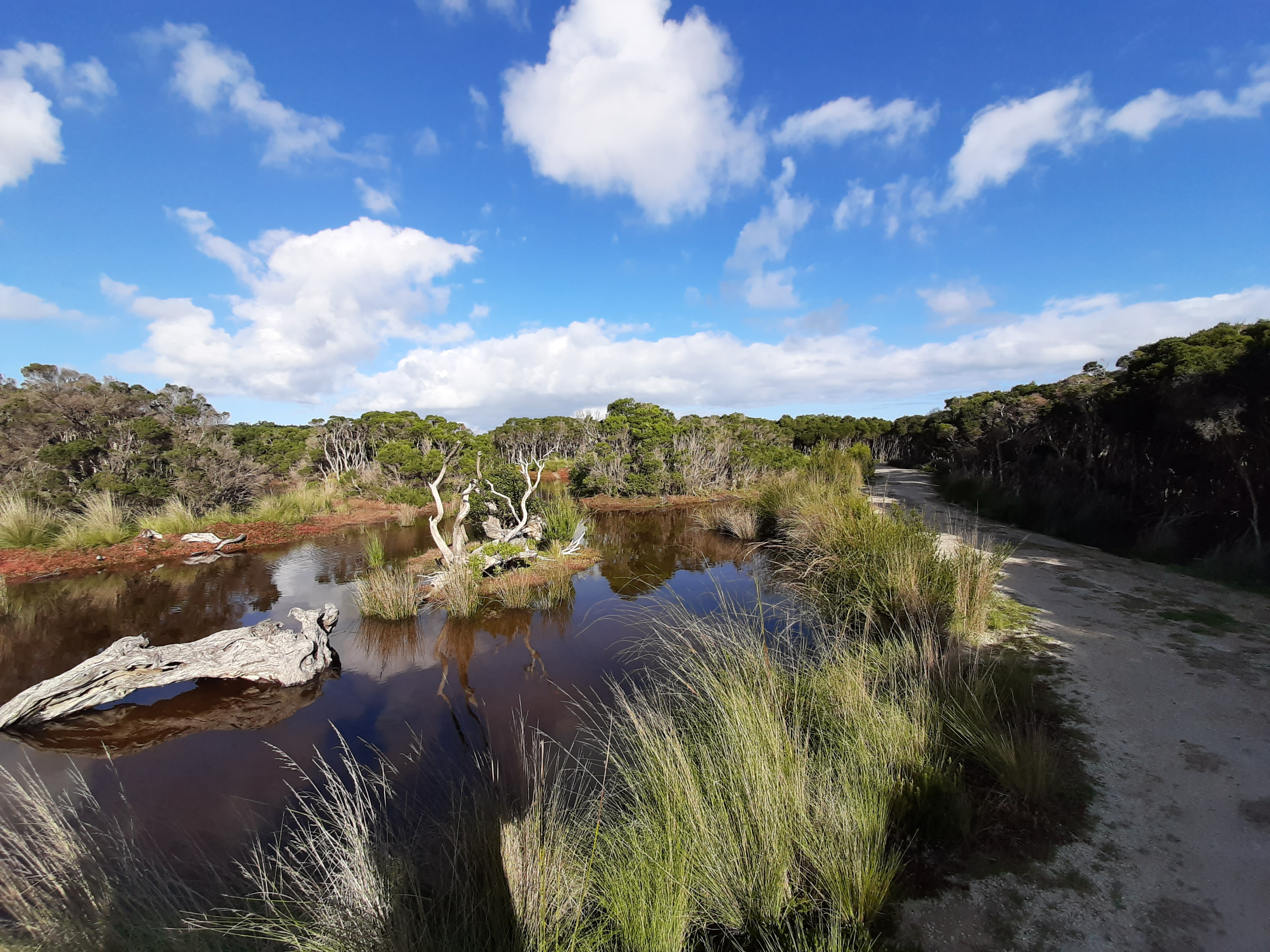 Scenic Estate Conservation Reserve Phillip Island