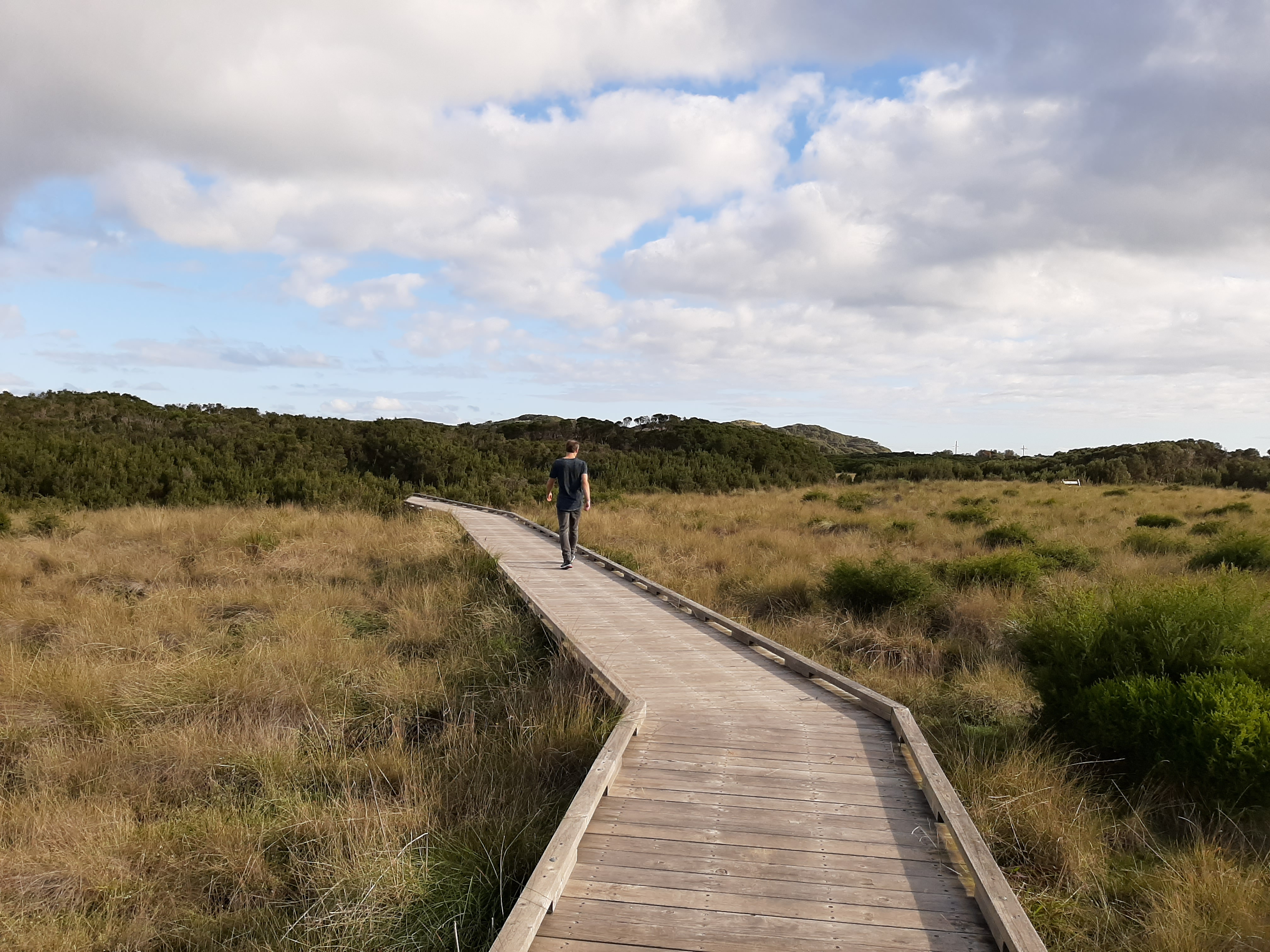 Scenic Estate Walk Phillip Island