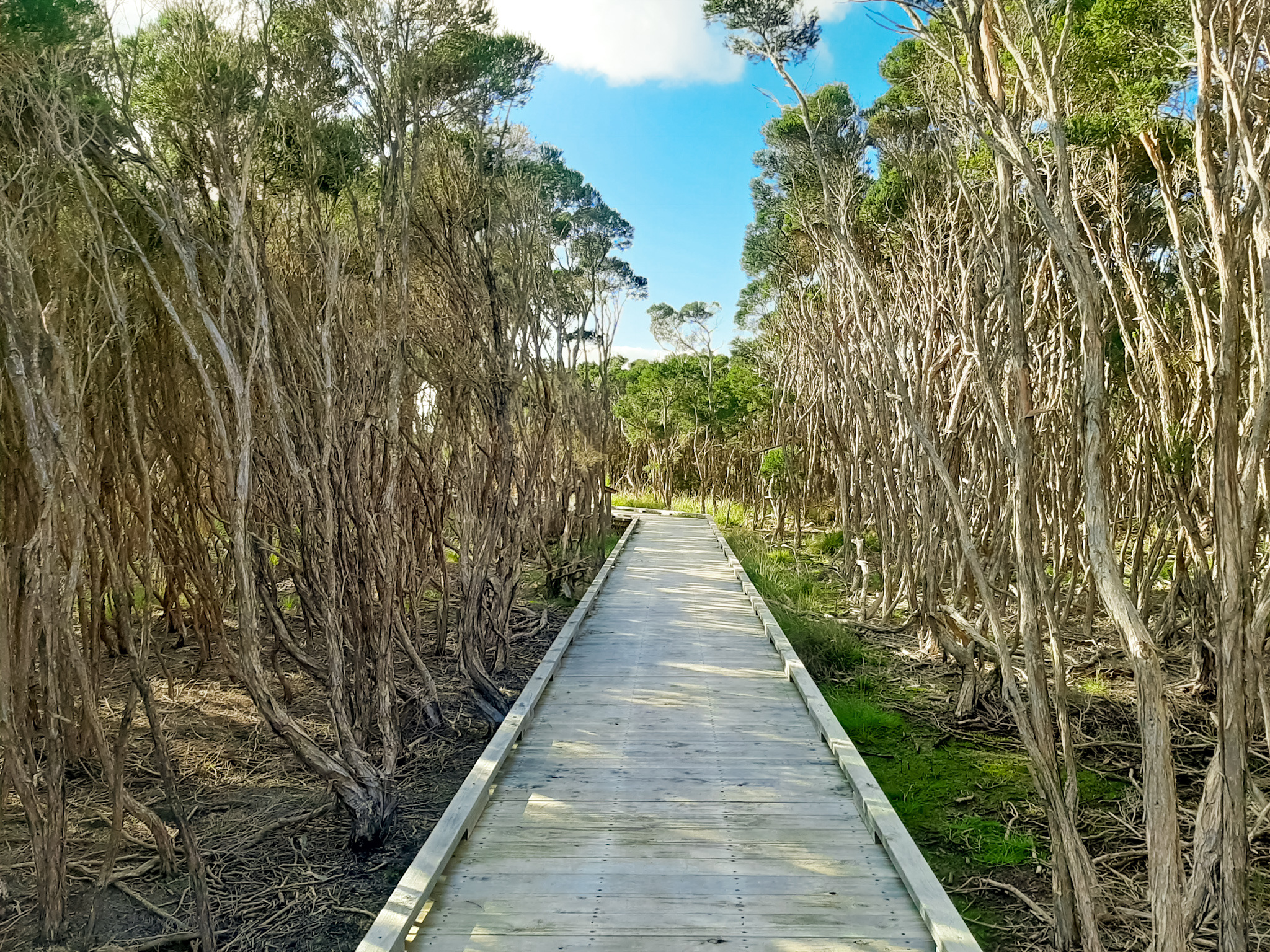 Scenic Estate Path Phillip Island