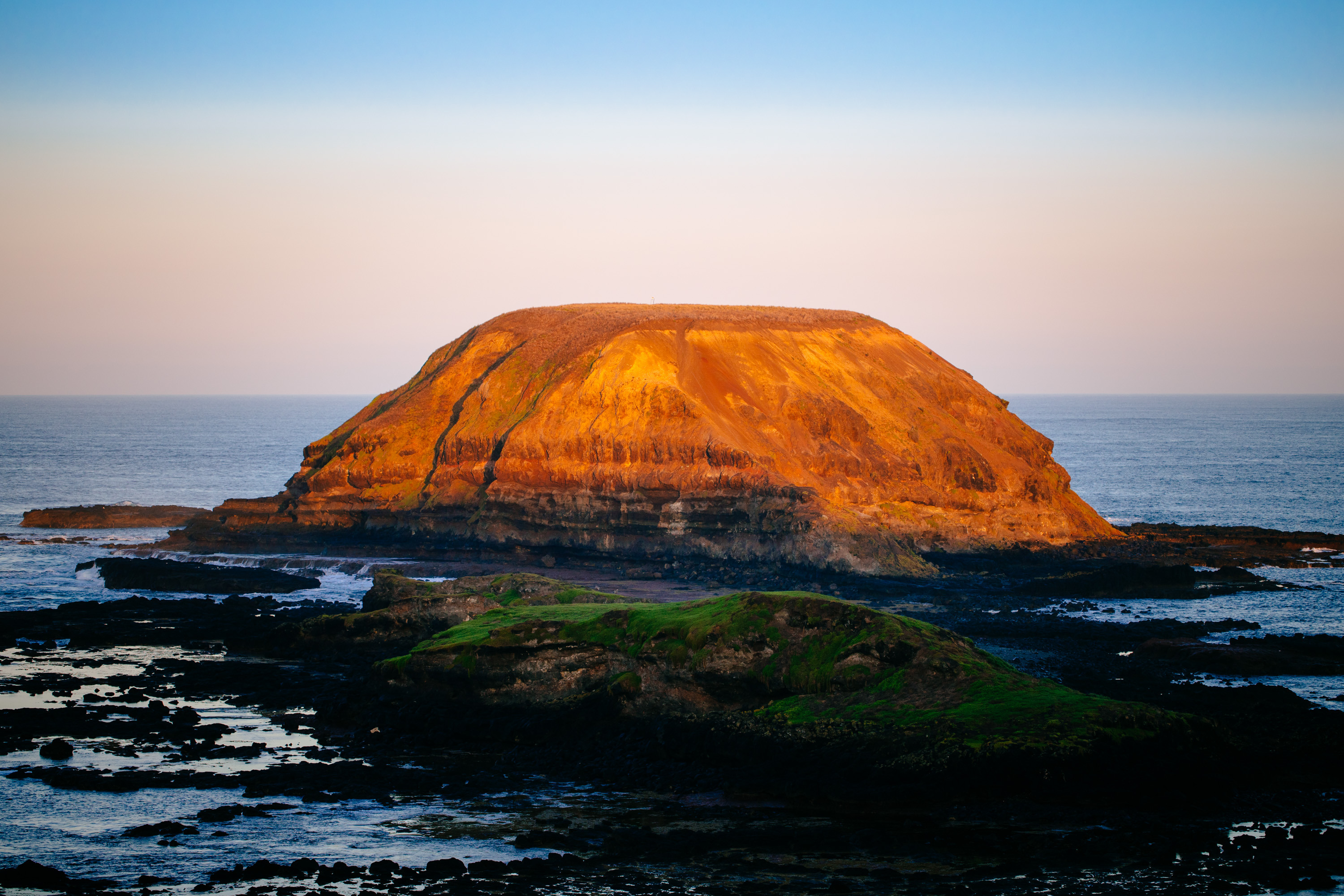 The Nobbies Phillip Island