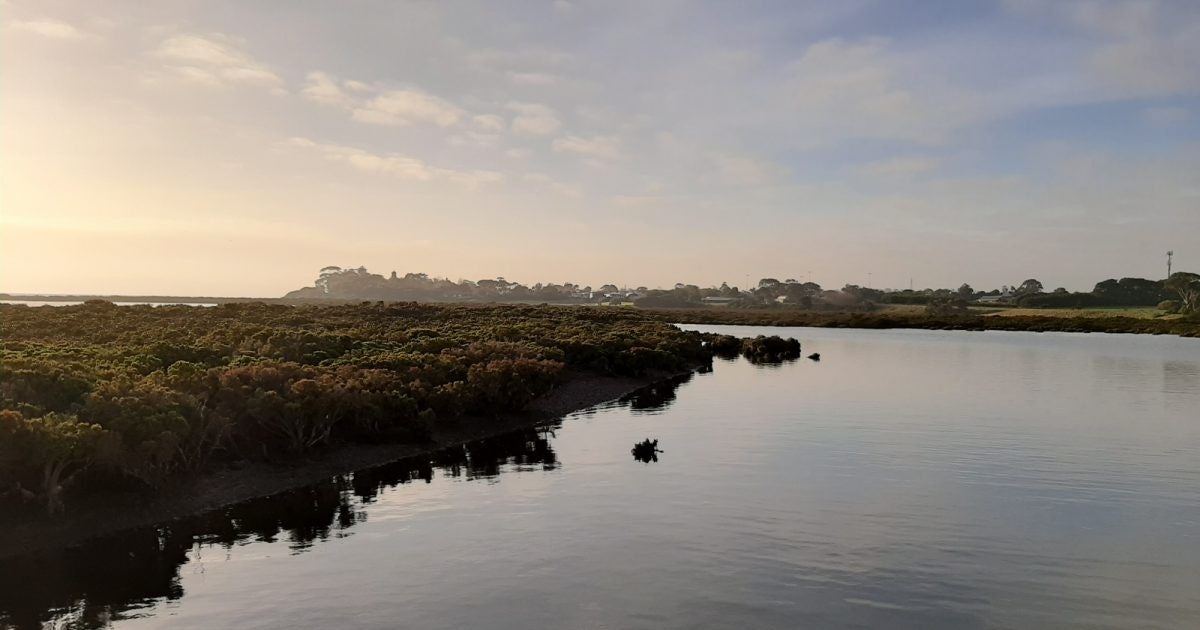 Churchill Island Walks | Visit Phillip Island