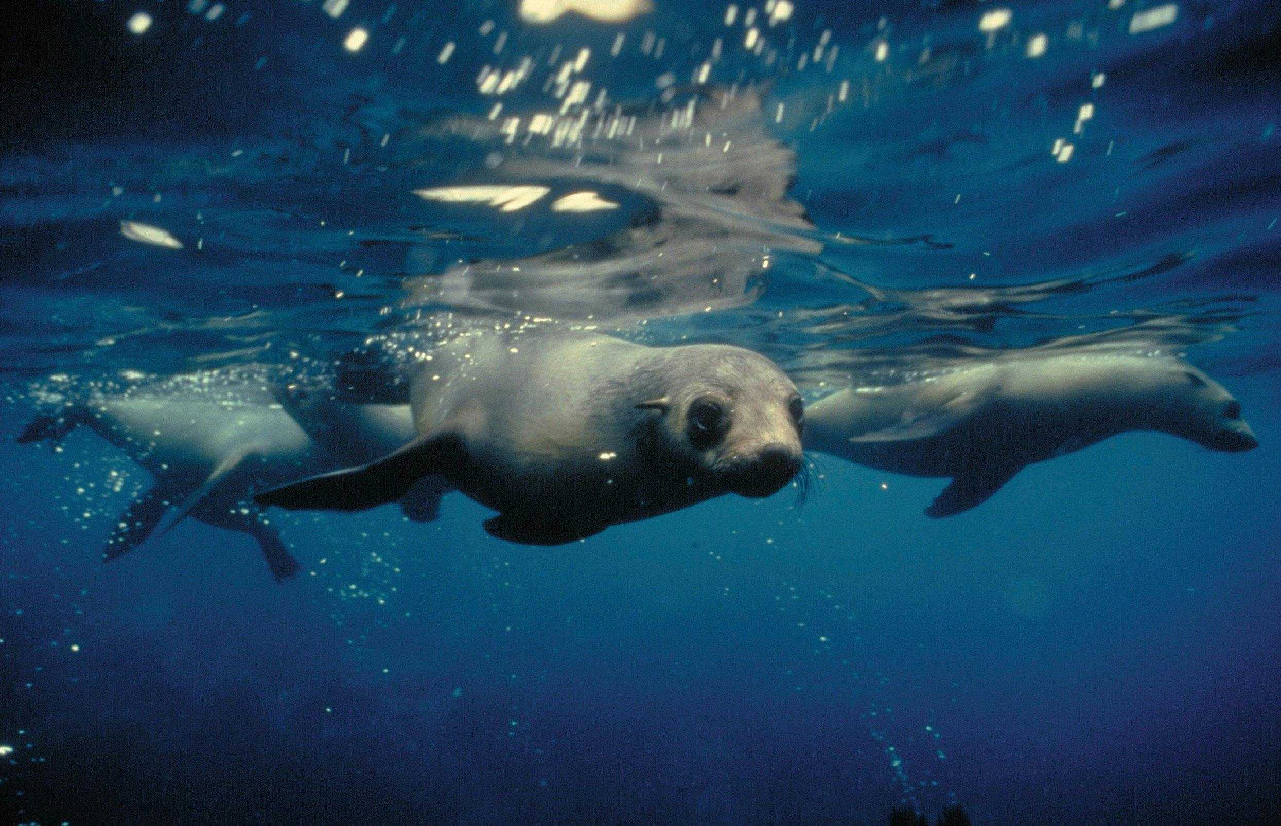 A2652De0C21507B05A8Dfa3E1C1856Ac