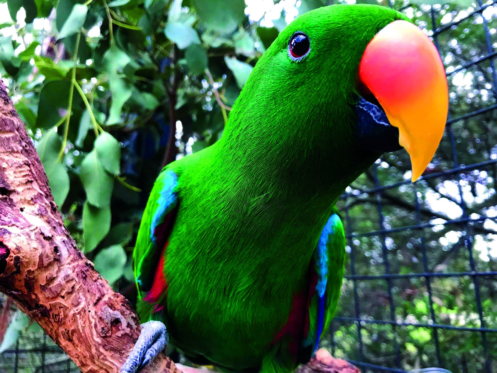 Af928374Fc0724D5114Cae35C4898527