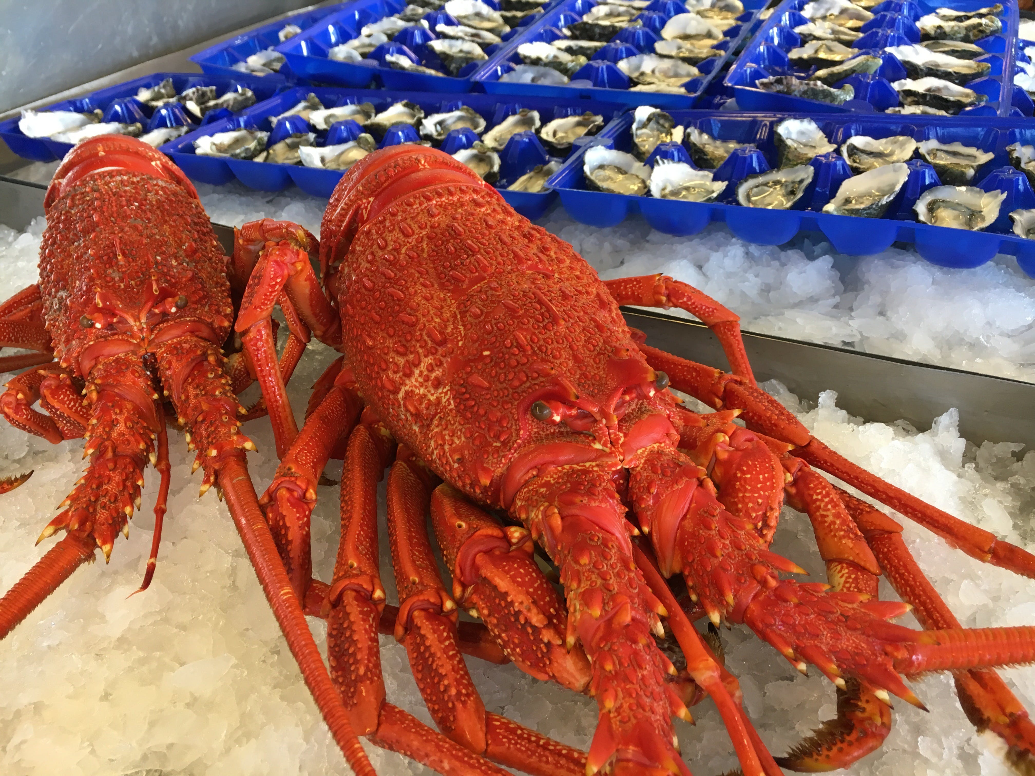 B3Bef0Ed93Fc6E2320826B7E993C3769