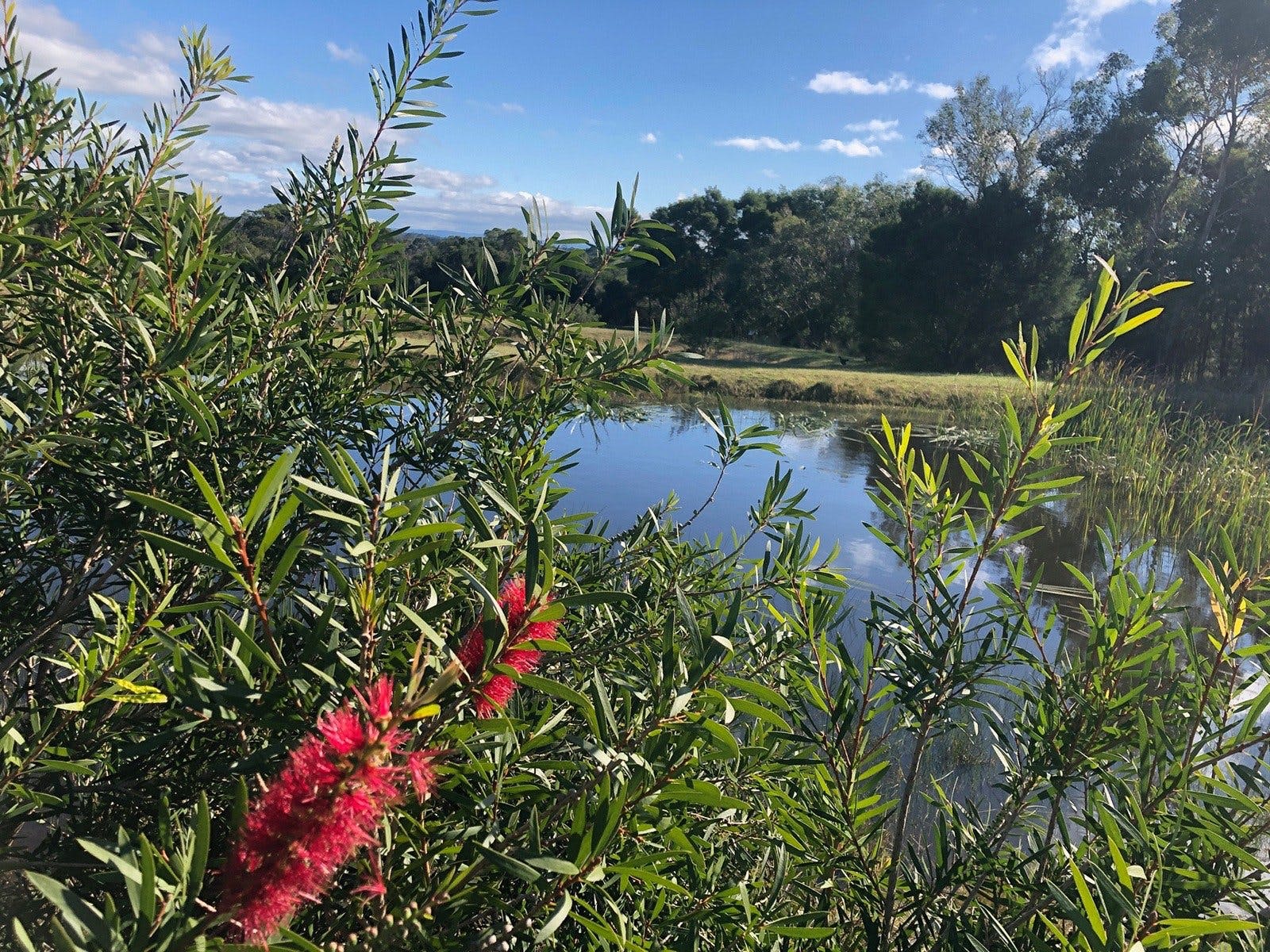 Rhyll Phillip Island