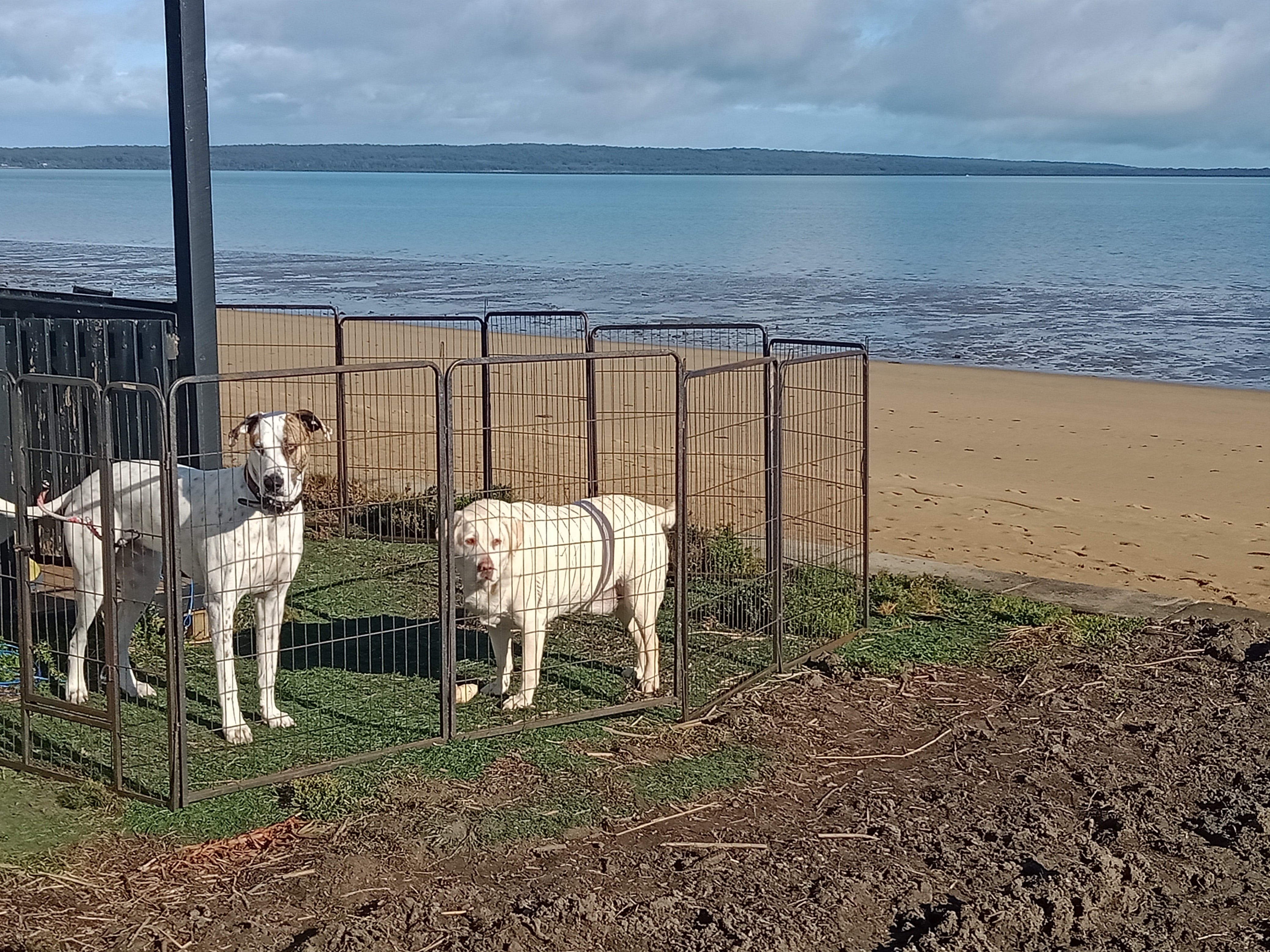 B651E936B81C37A6B7597B65F6569423_Vhu8Nmd