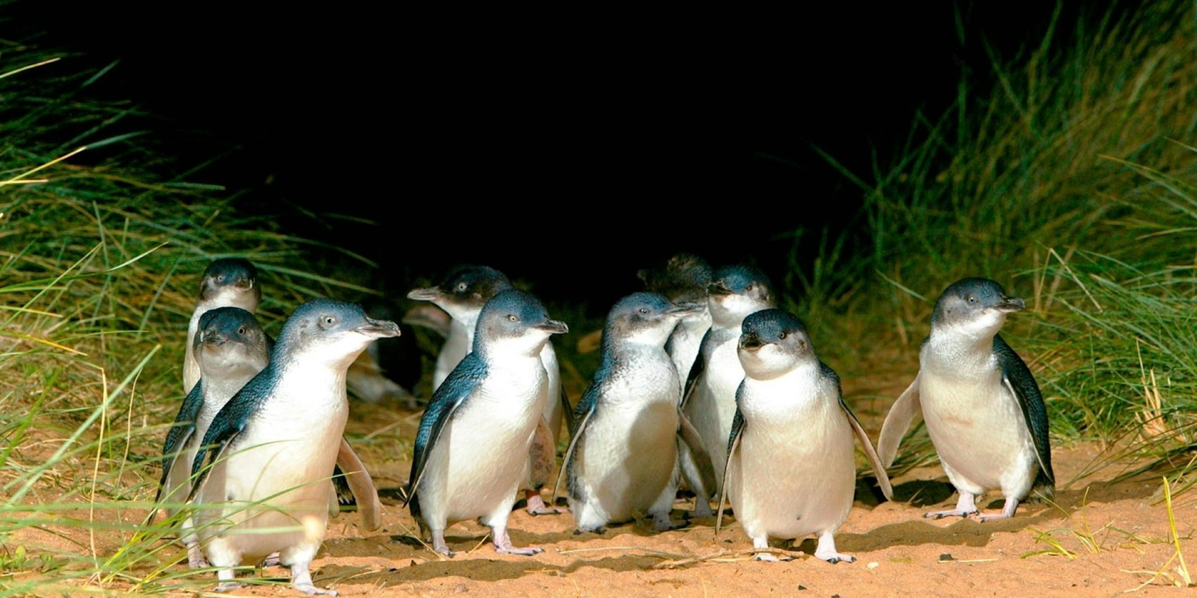 Baac2729Aacb8C1E1A1Ed8Db148E5911