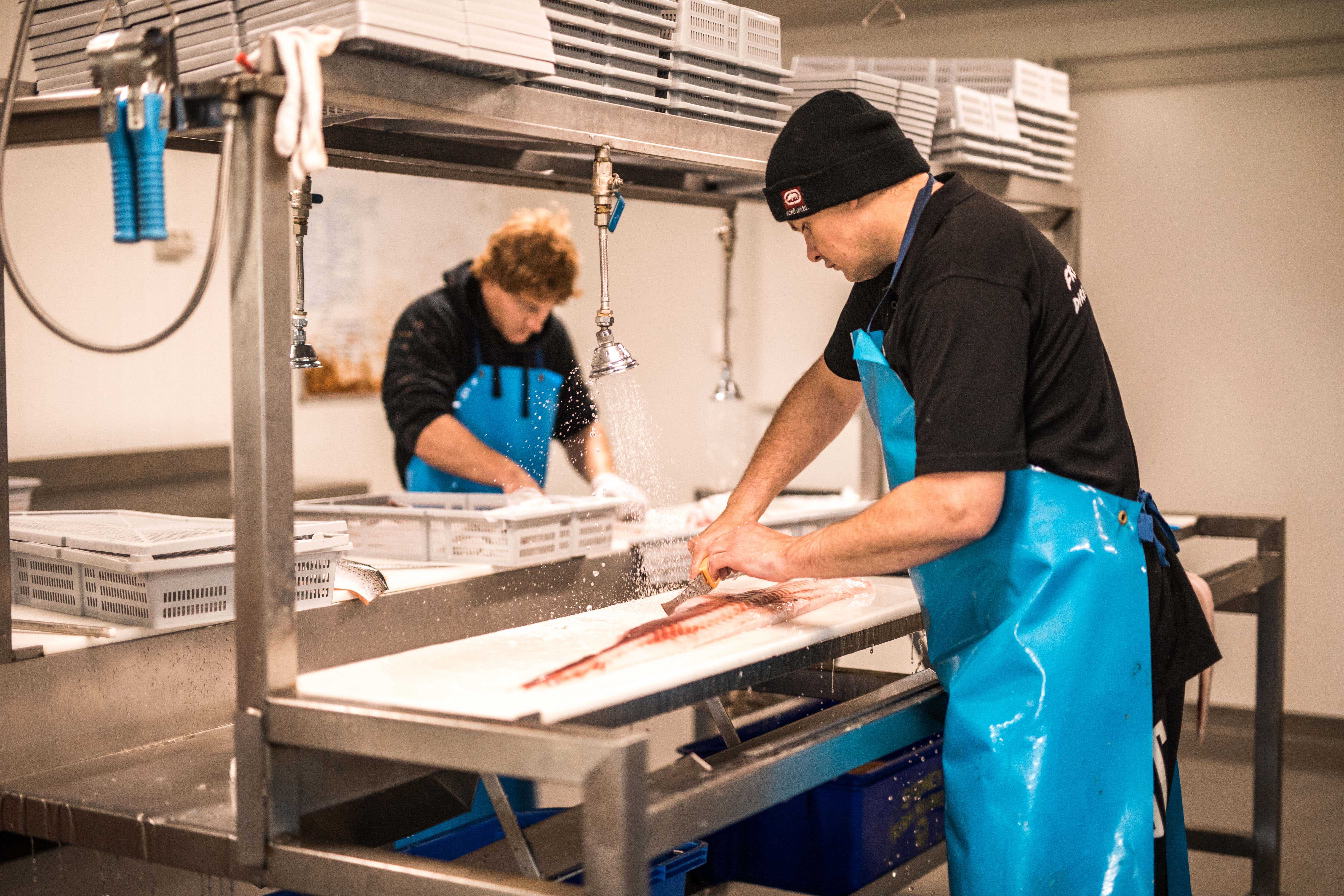 Bass strait direct 16