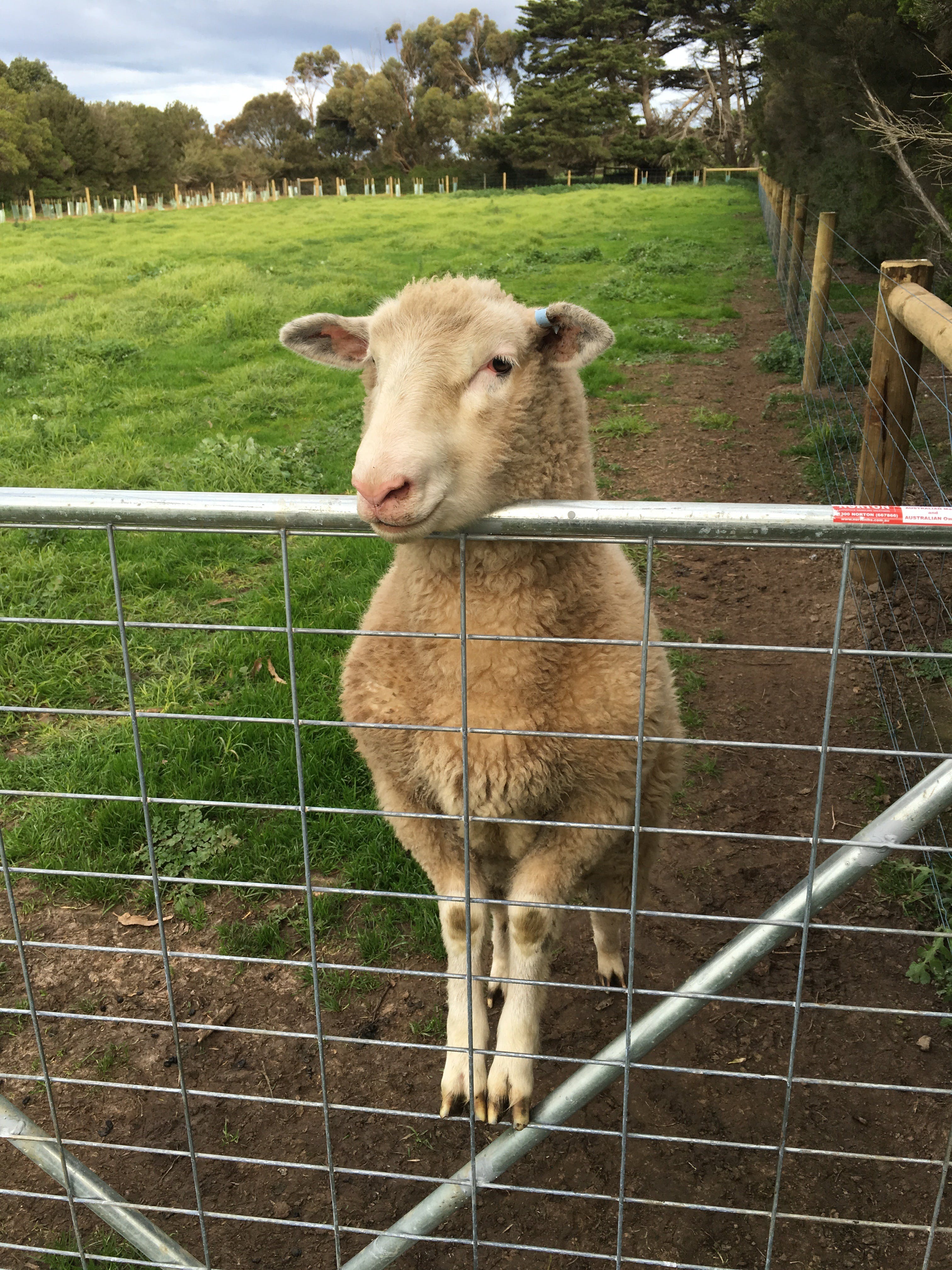 Beae2B5415A5Adc8077F5660D6Efe0Cc