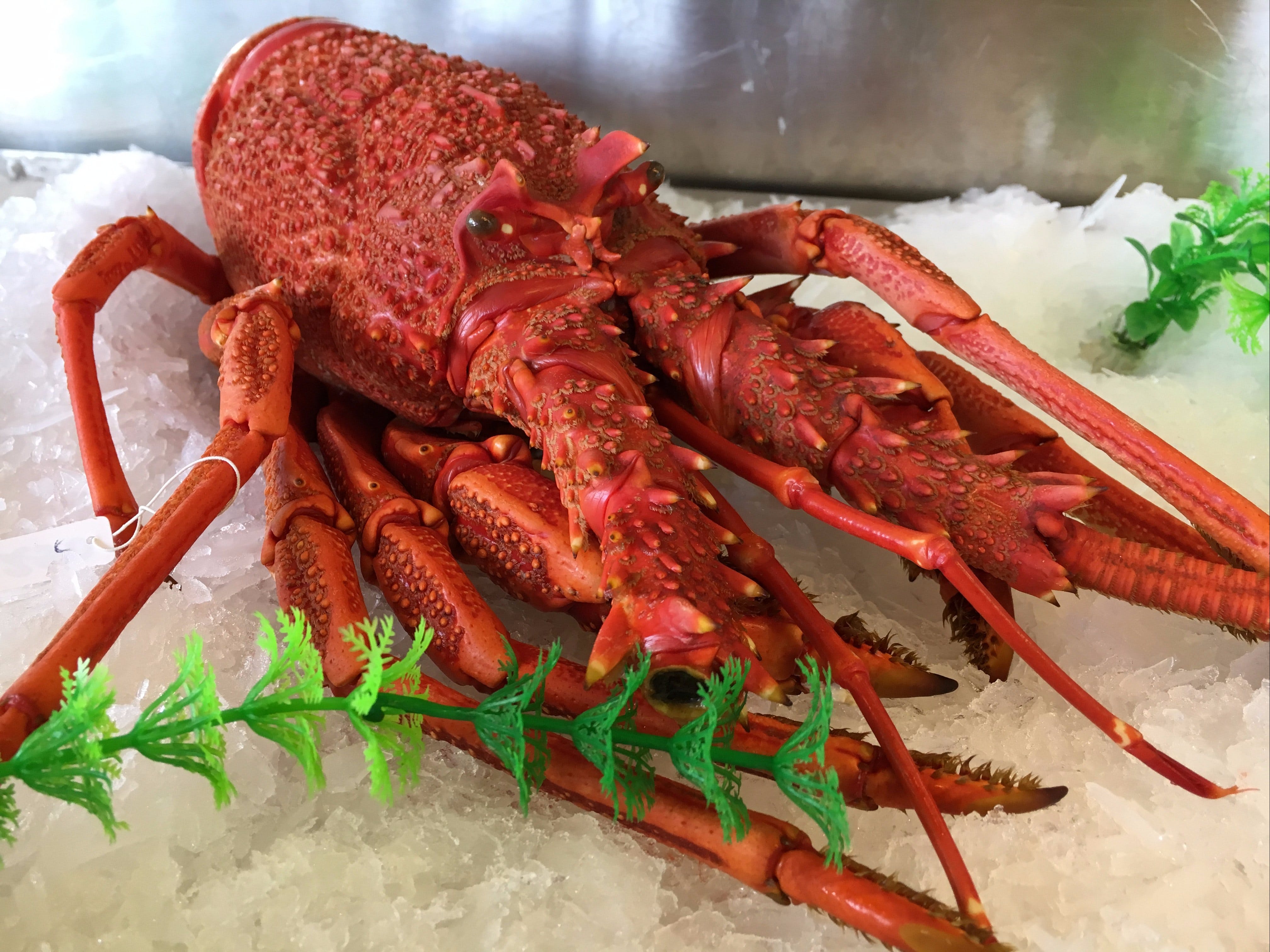 Ca263Eada395Cc05Bd7F11E3406A86E2