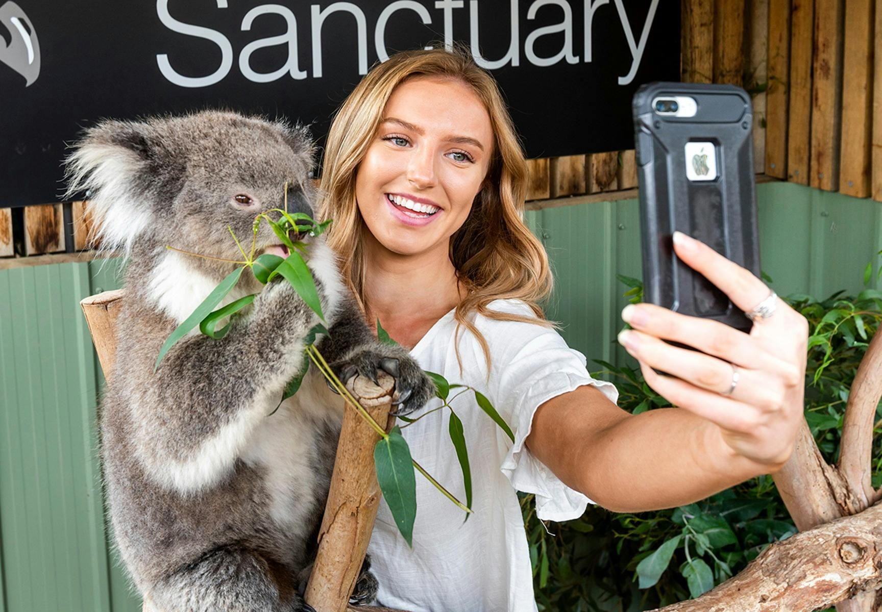 Ca4Bca9433Fbc428A4C35664B23Abaac