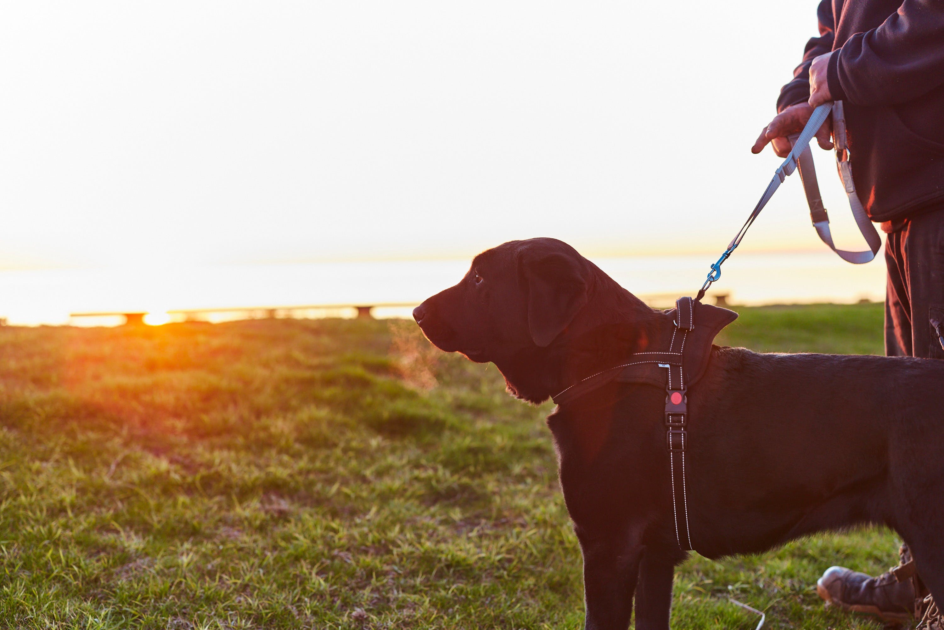 D31A00Ec3Da93Bf052Bd9221Fda0Aae9