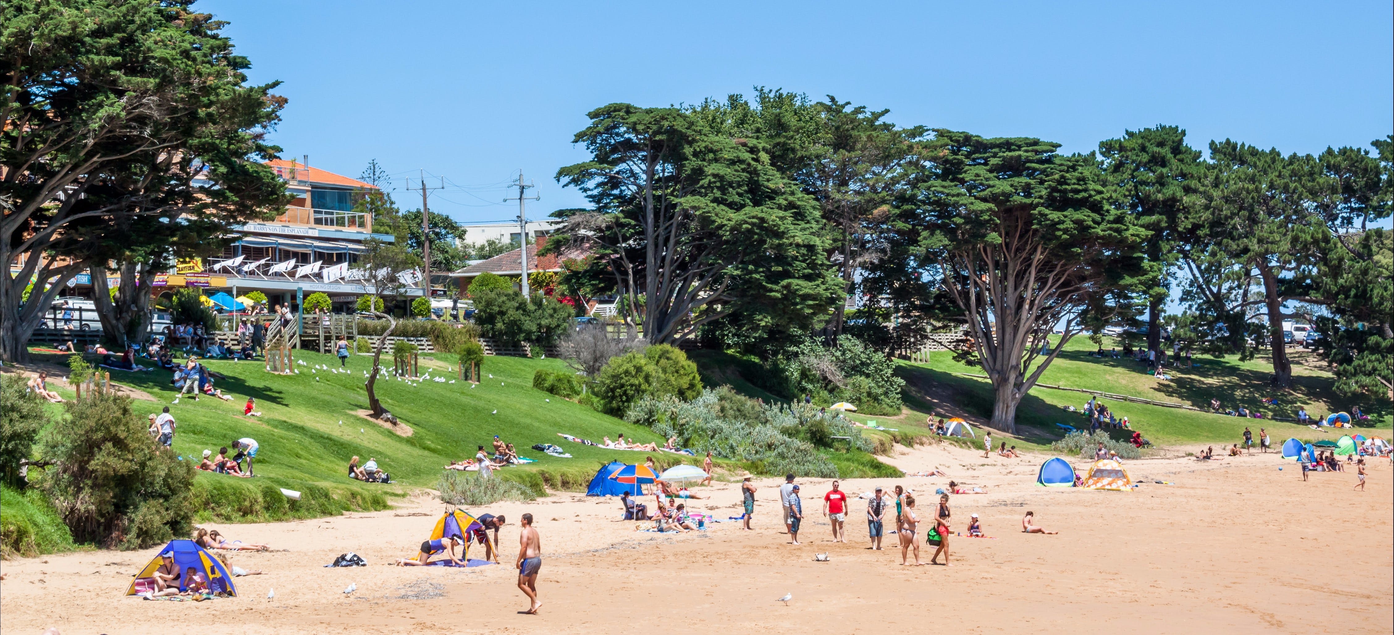 D5E69E89F3C078B60480Da3E69A945C5