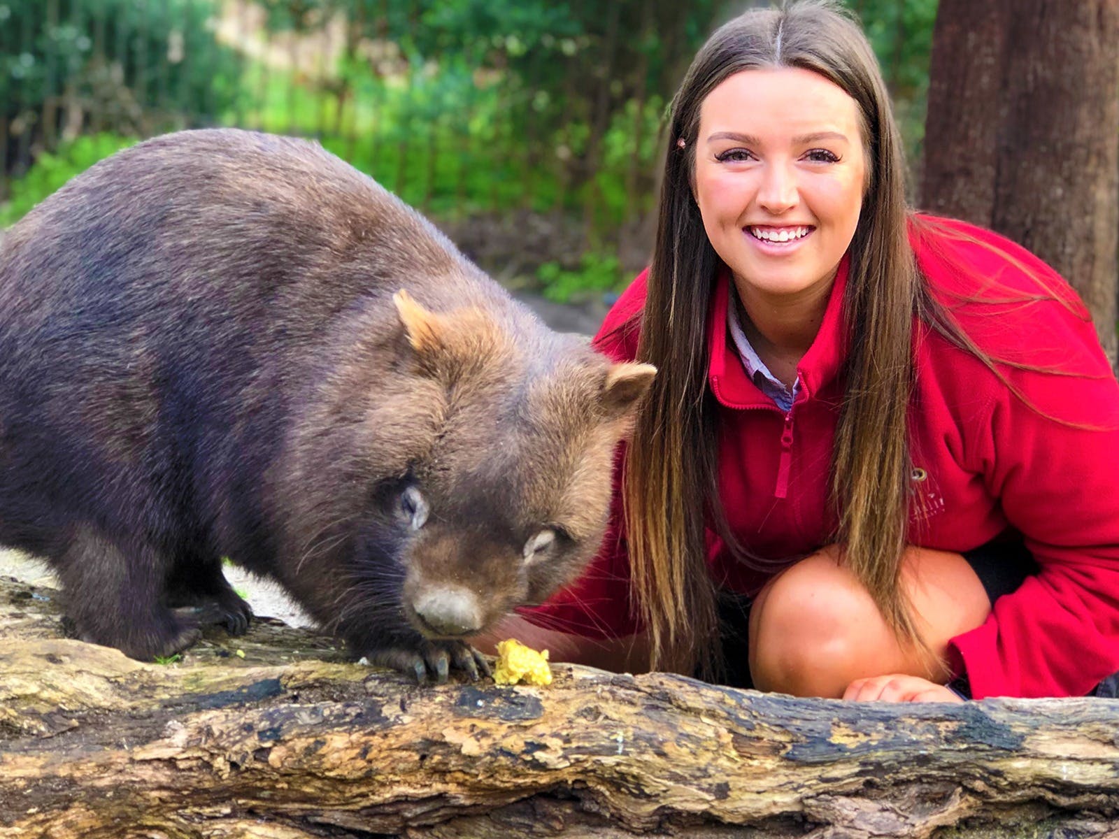 De8A67C2492Caf9140Ffaba6Ae54Acd7