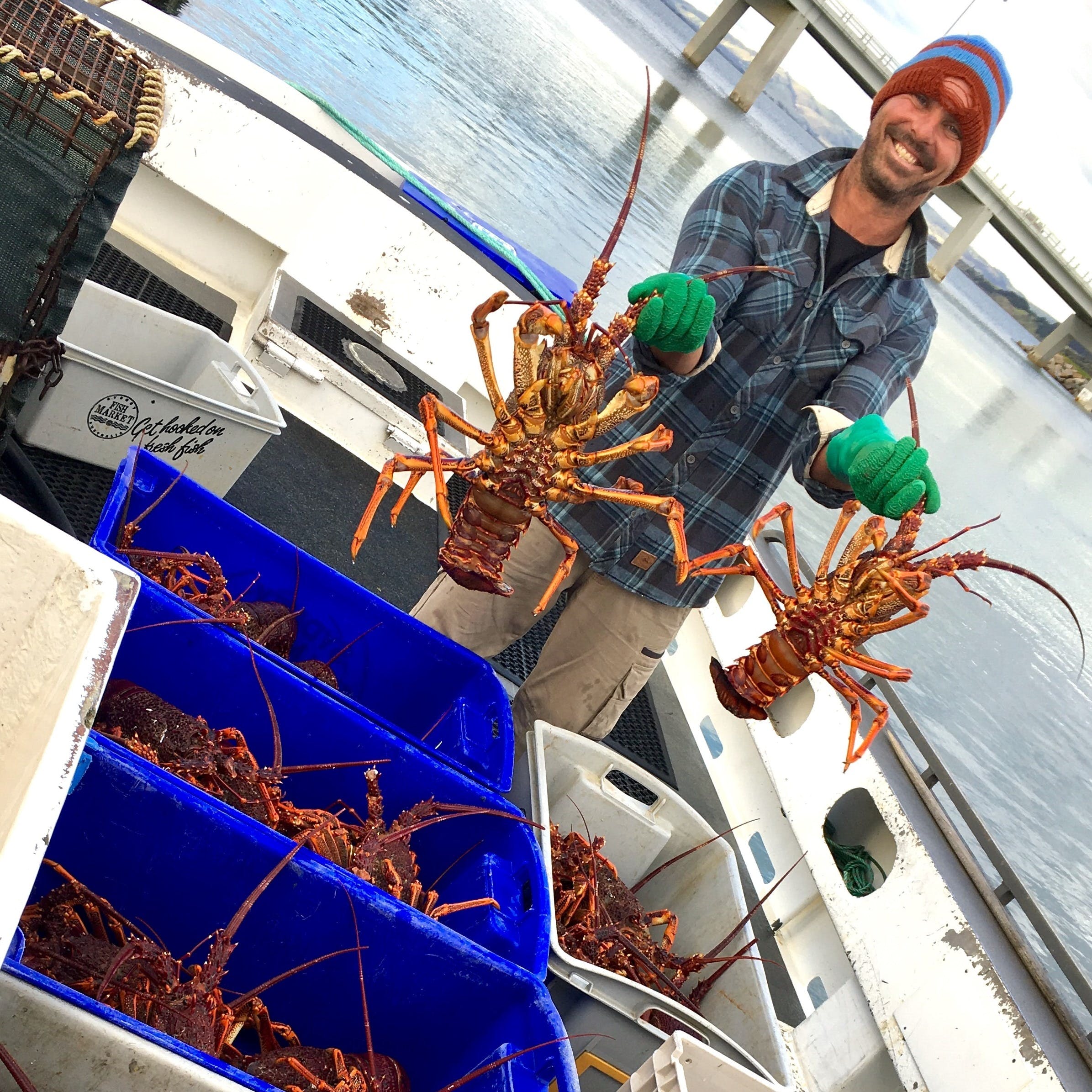 Dff88E173Be4D5483D0Fde007Af110Aa