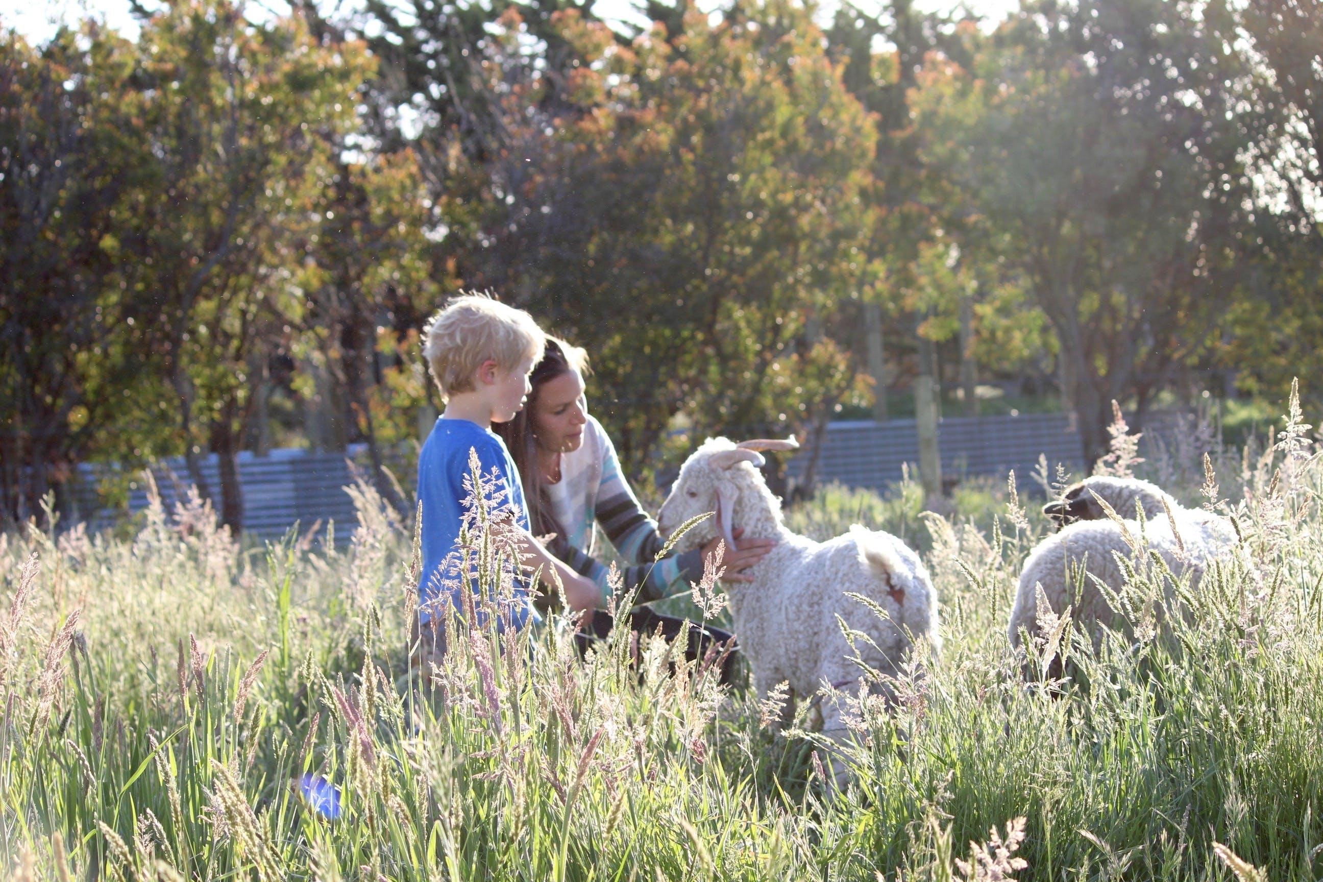 E6151F7D2000F6Cb1690A8F2236F8404