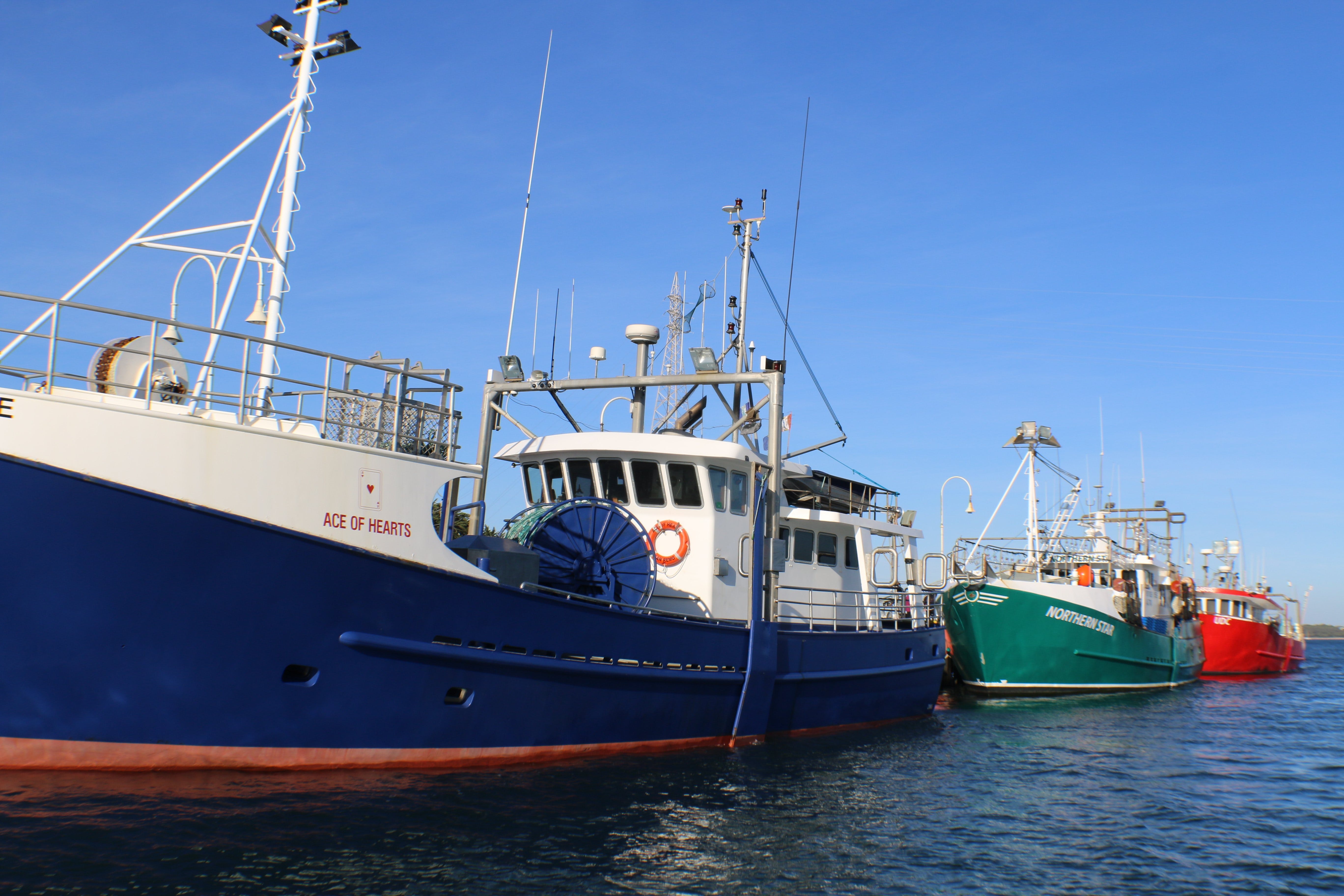 E7E122130Fcc93Afcc43Eb24F2E63D96