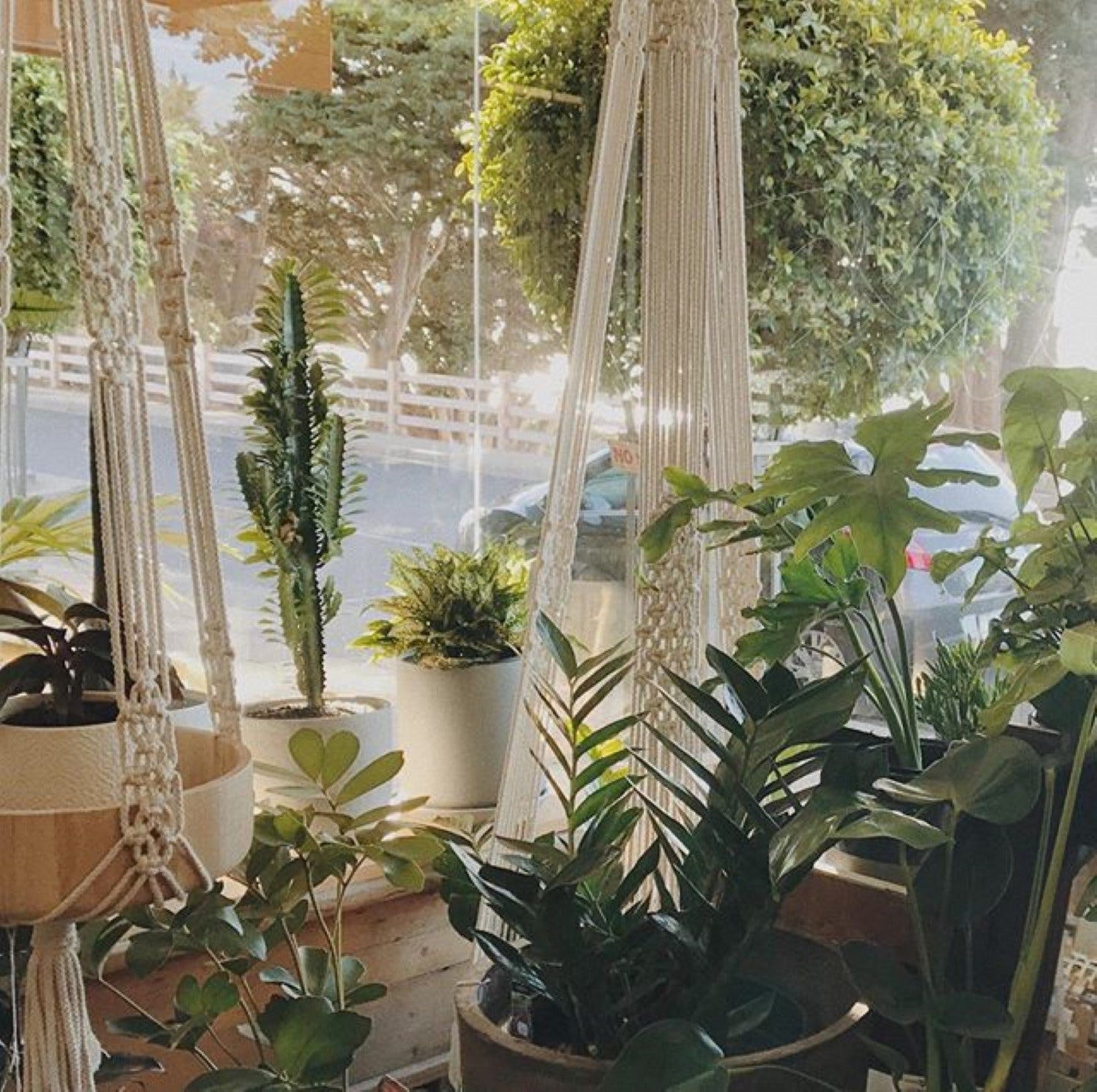 Tyde | Phillip Island