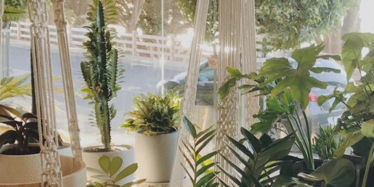 Tyde | Phillip Island