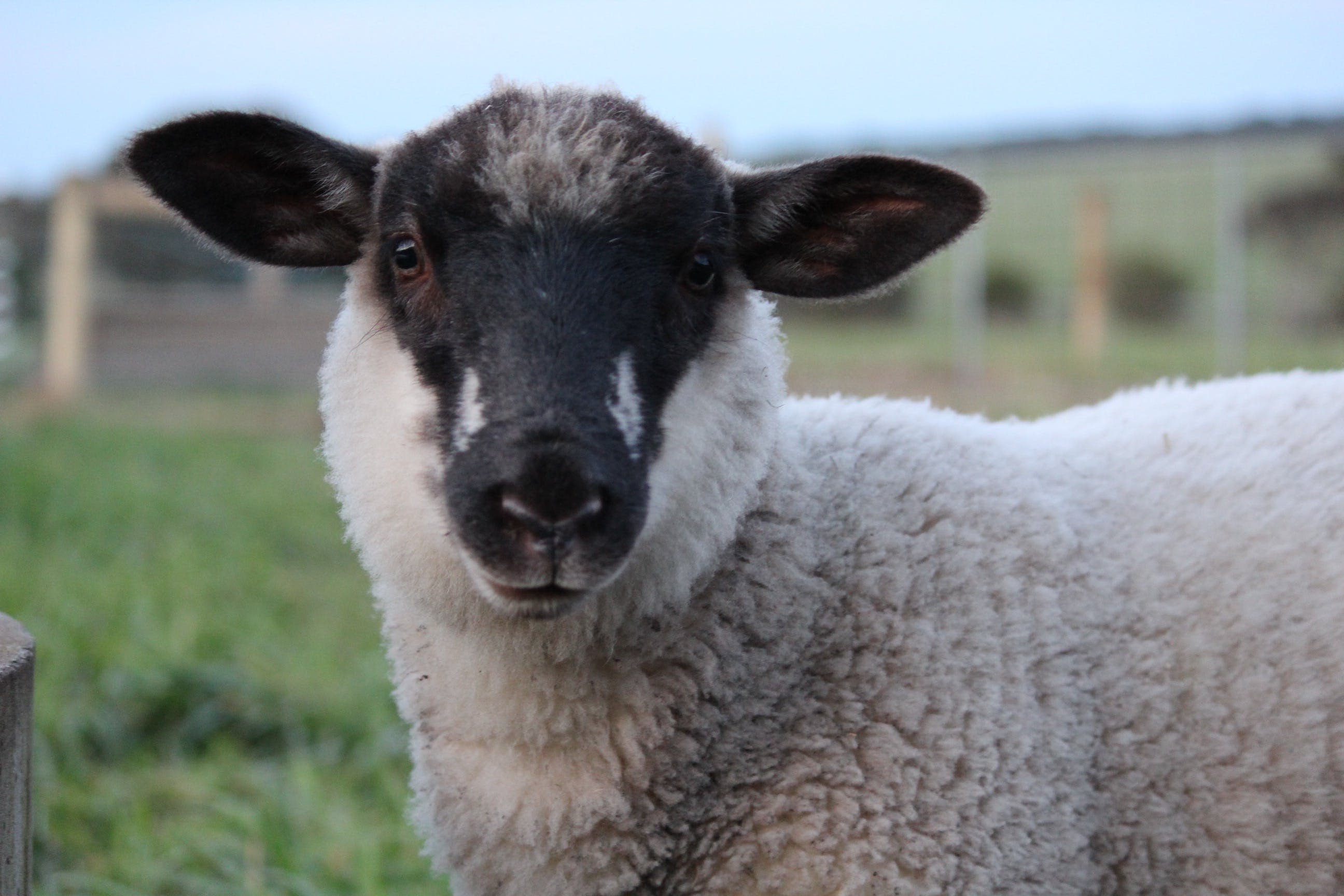 Ef451Fbaa4C89E791766D03F1A13Df7A