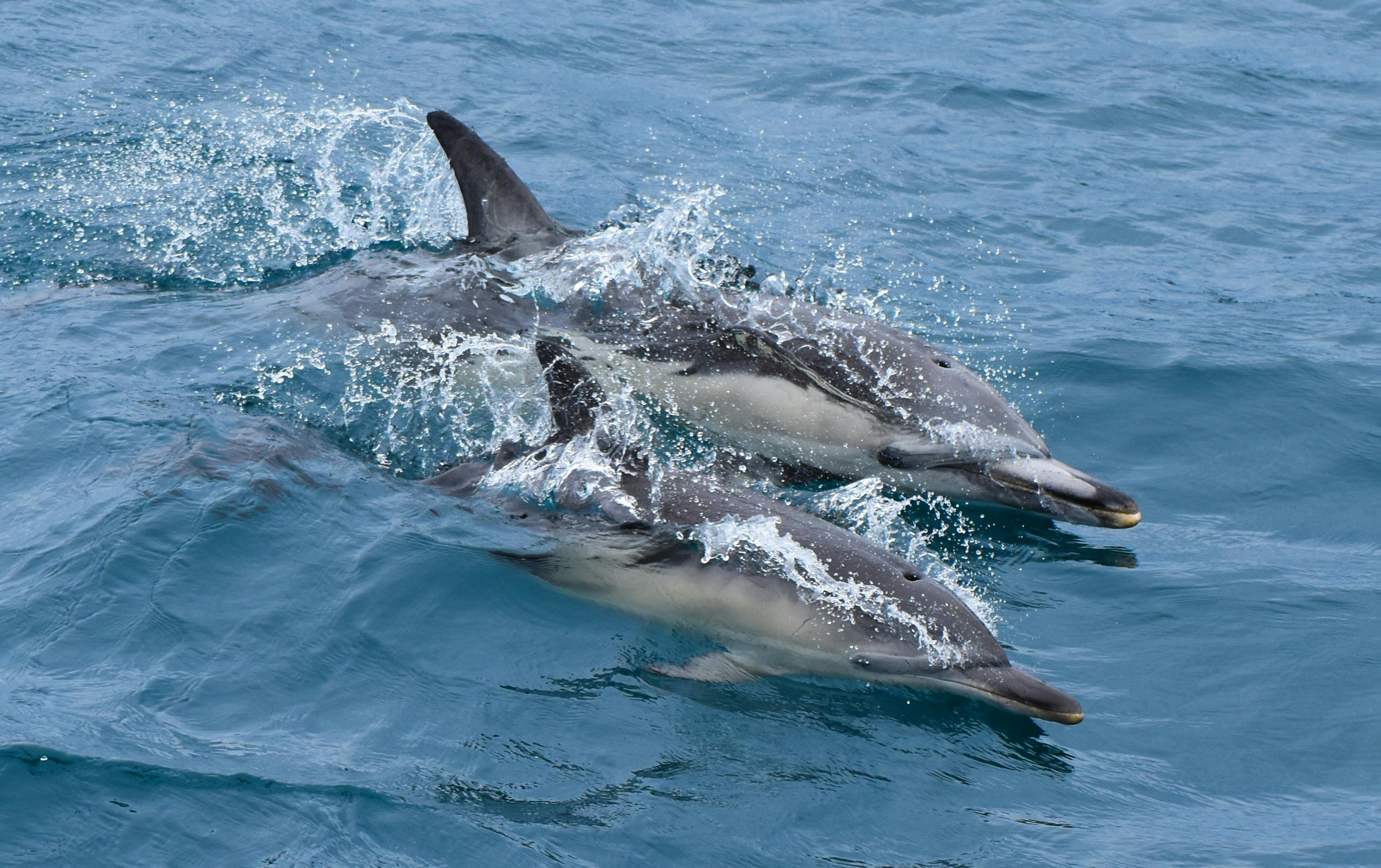 Efaf121154262Aad3Ed85068008E8C5F