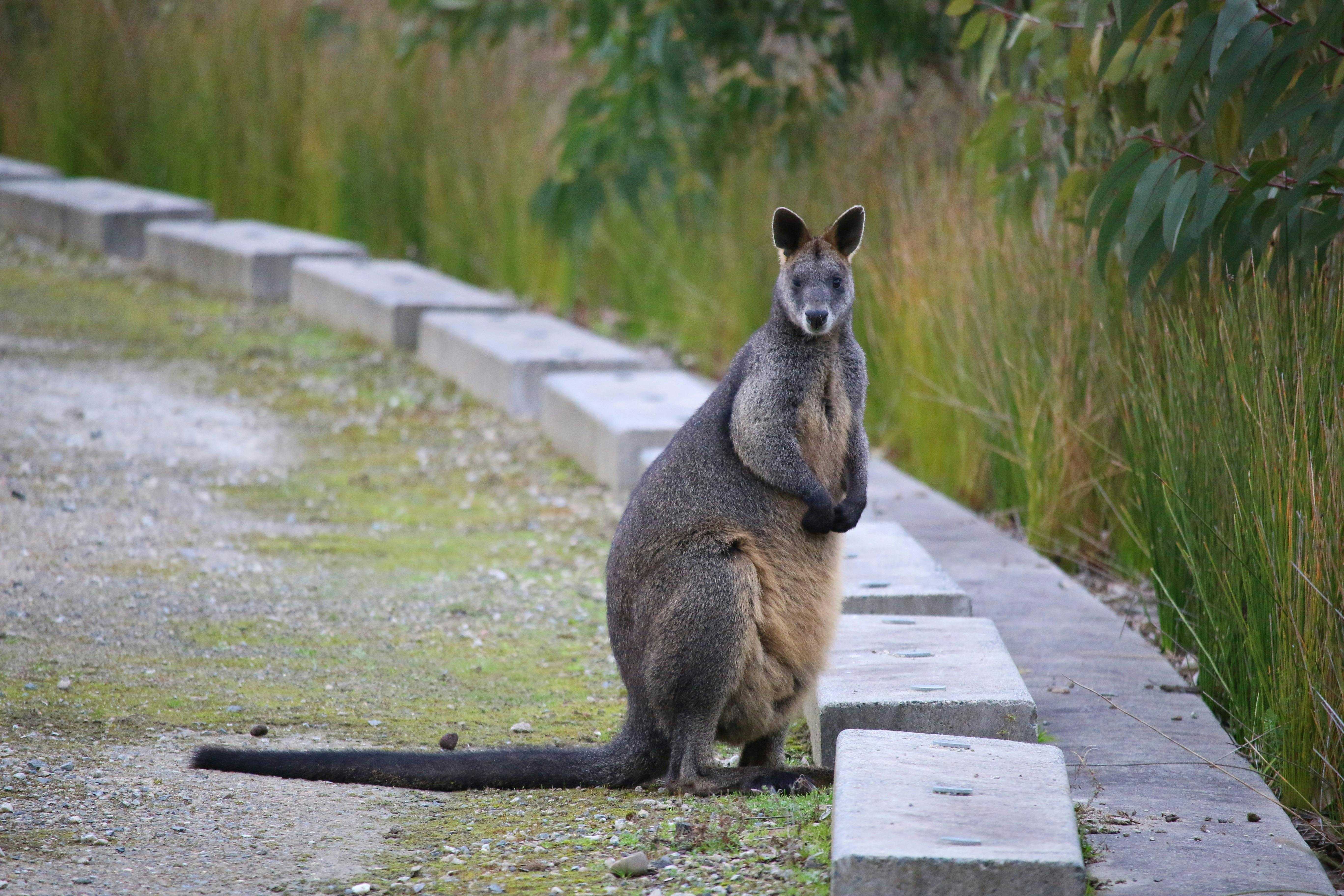 Efe2562780E9243D24Aeb25Fd9497F3F