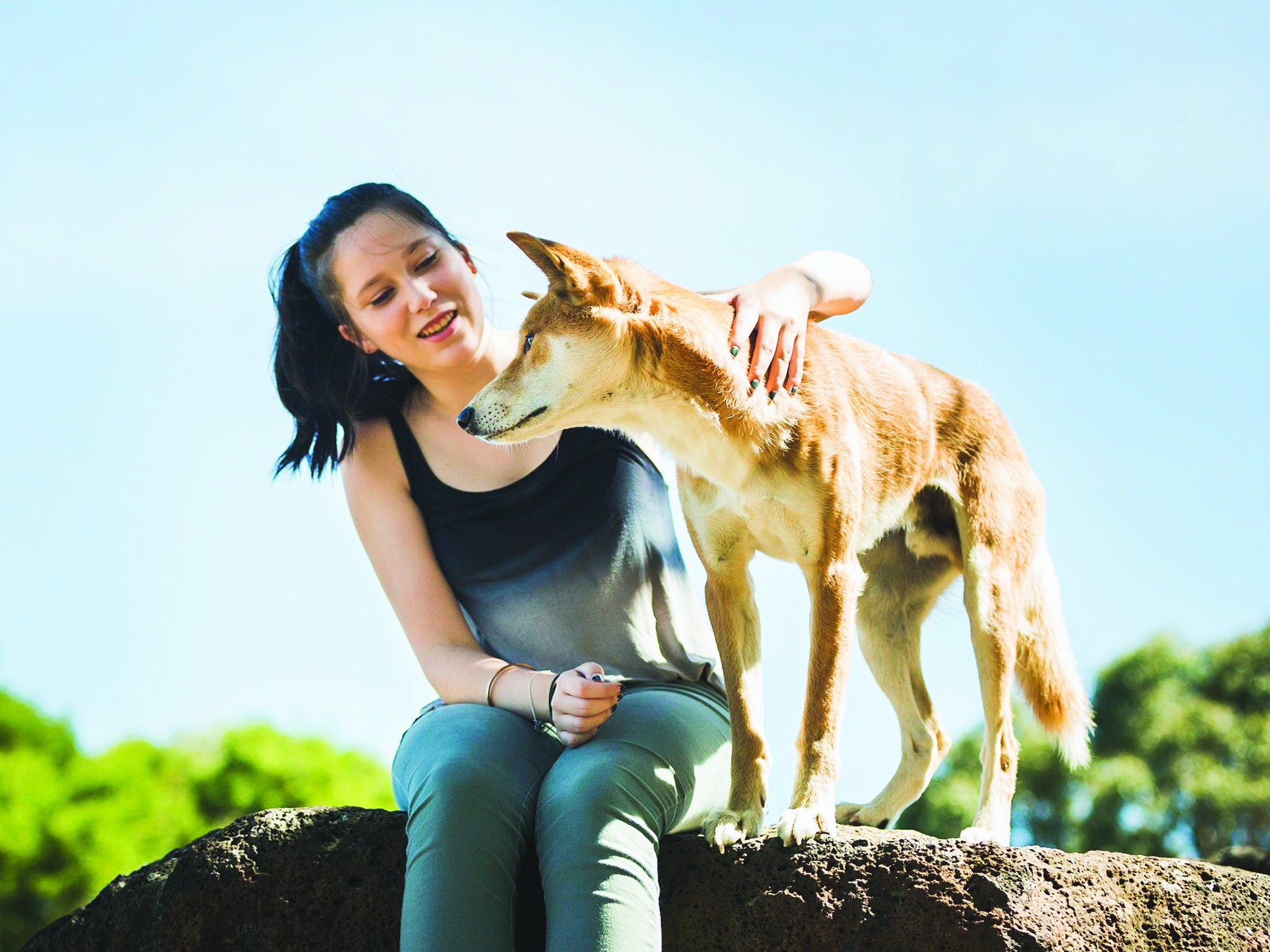 F2Bcbf8F81698Bac534Ed24A798Ab828