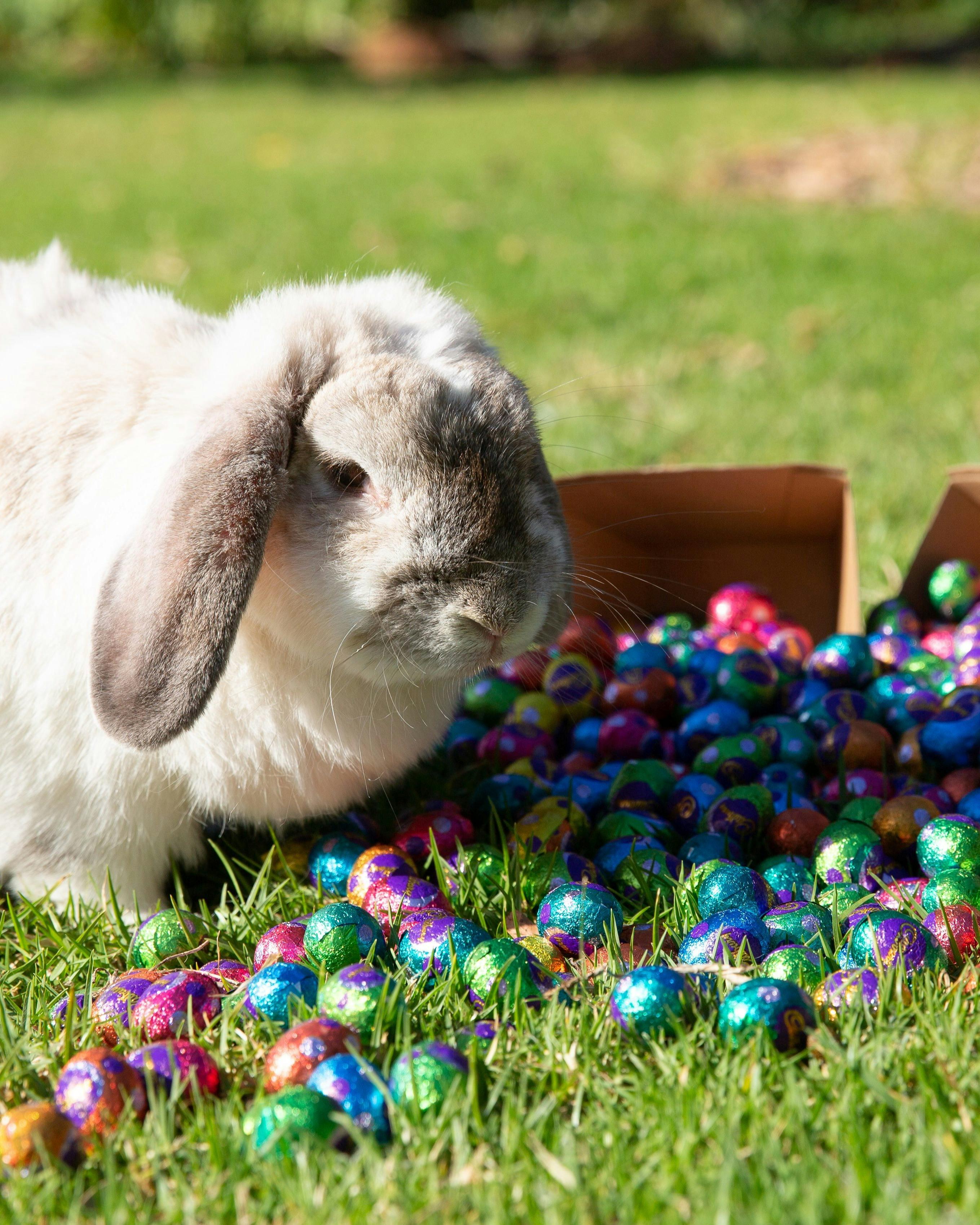 Fd373134D221A3Bda2344Db03Baf71F9