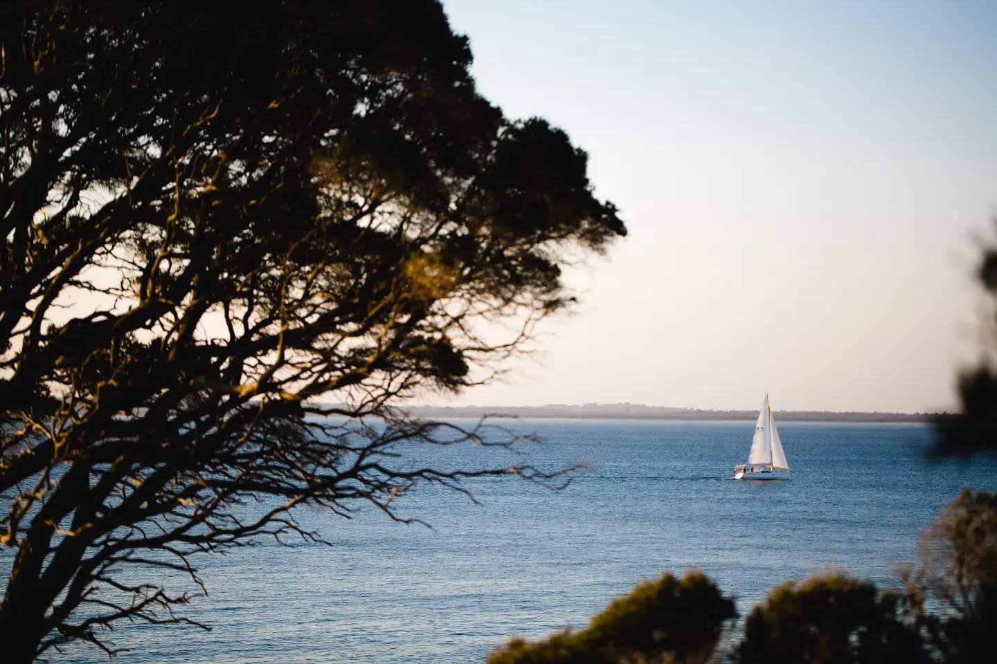 phillipisland