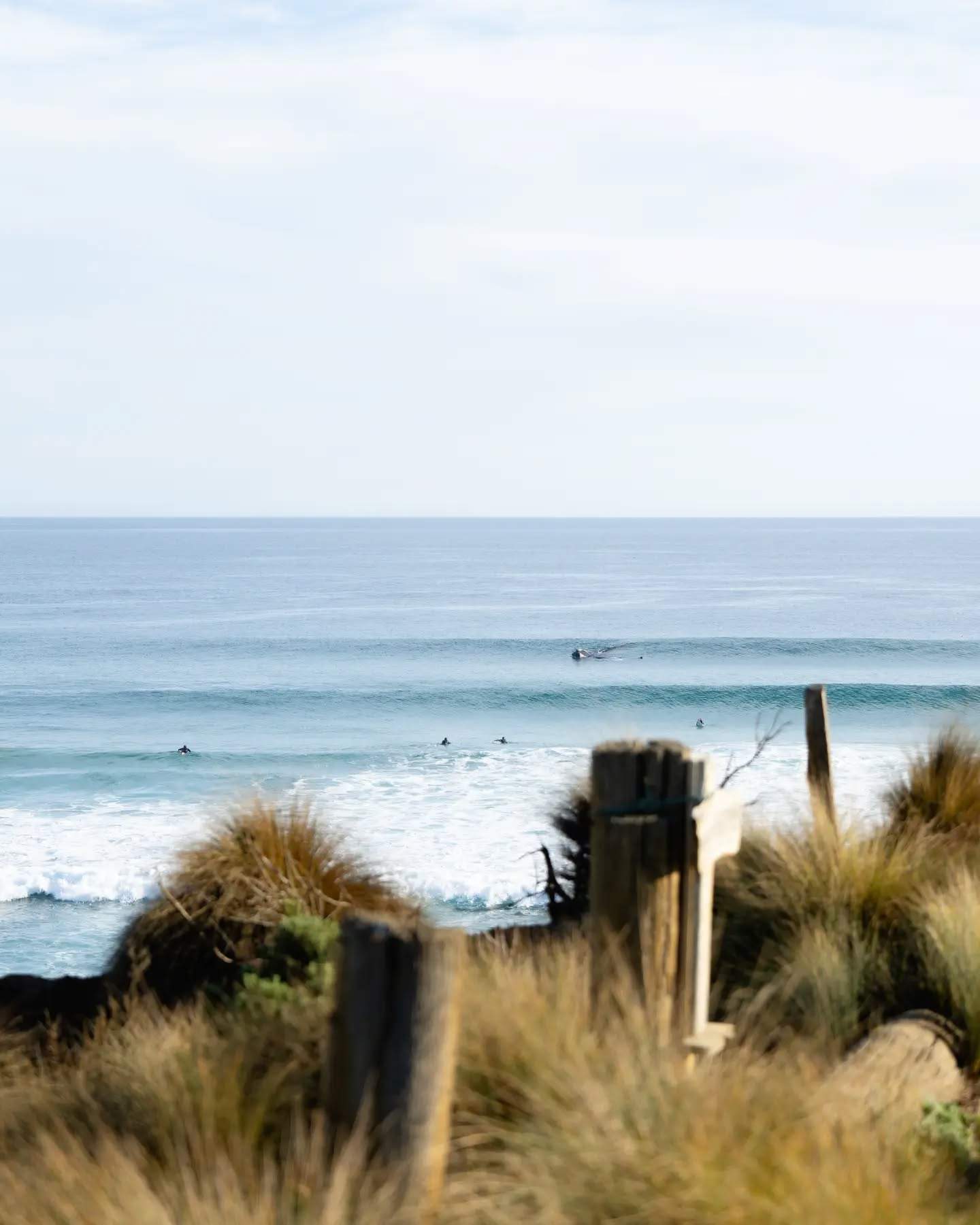 phillipisland