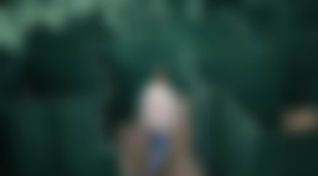7888Ad592810B6394085F78C0B338C3C