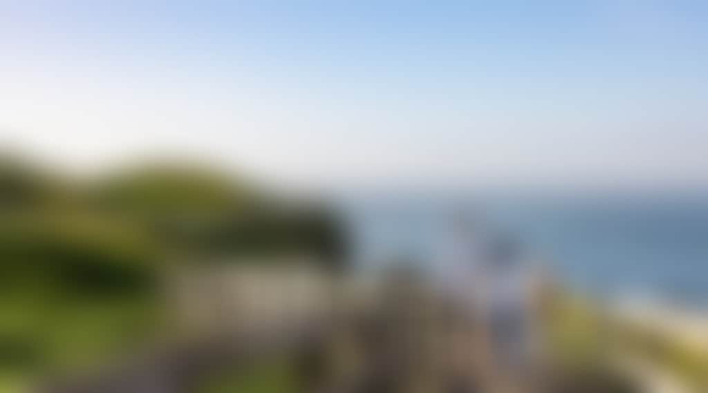 Destination Philip Island Spring Kim Keltie Photography The Nobbies 5