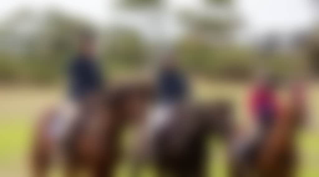 Newhaven College equestrian