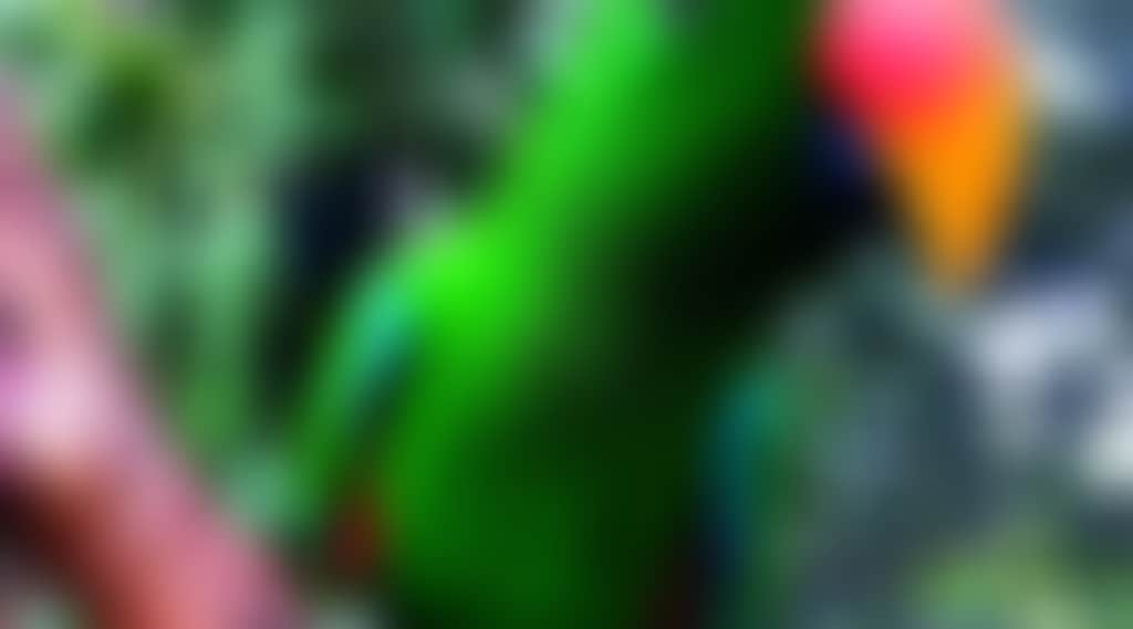 Af928374Fc0724D5114Cae35C4898527