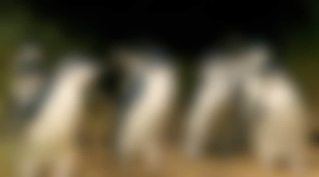 089118B5Df68565E7B1F13D2C97A07C9