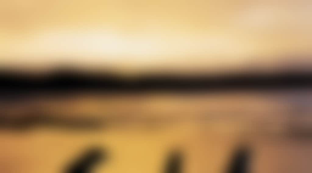 5B1E78B9B40Ab74Ab7E8963E02D54Dad