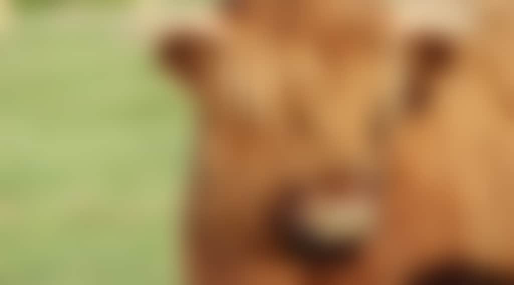 23C202Ec793E4887943622D91682Dfb7