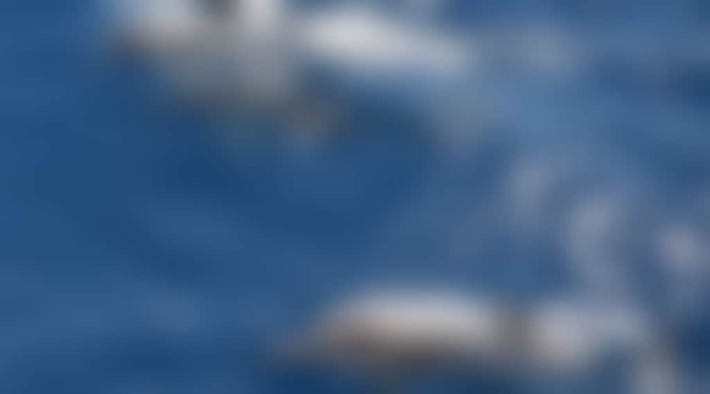 E107C0Ce6Fa68772F136Bb84D534D6C1