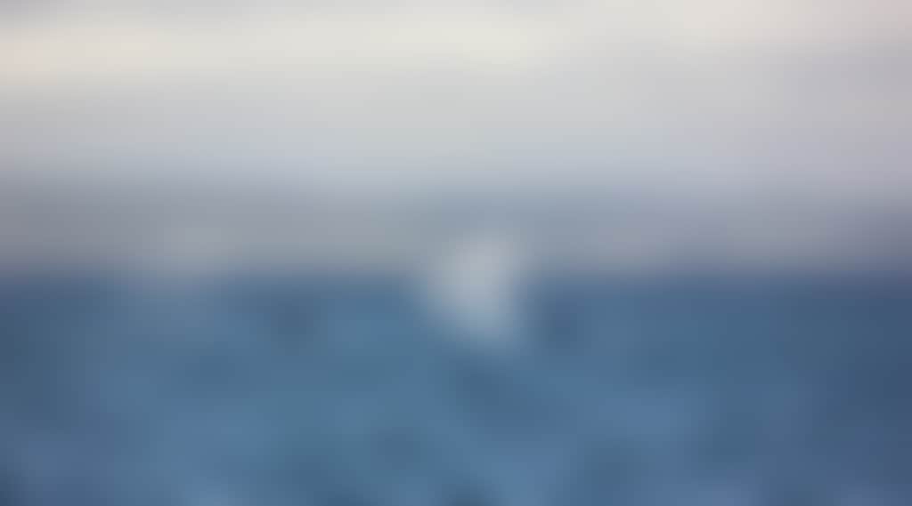 Whale Tail Phillip Island