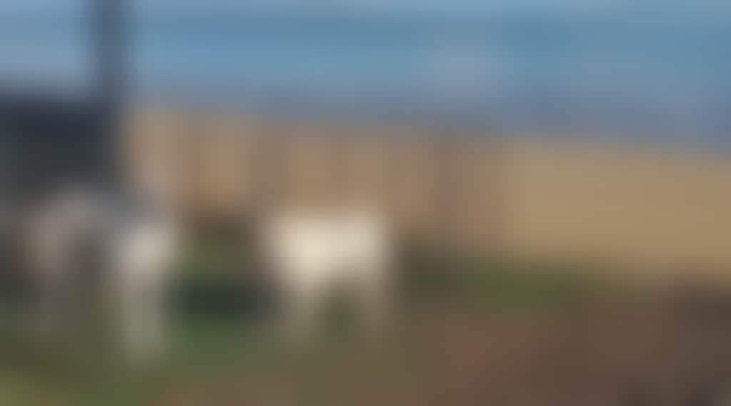 B651E936B81C37A6B7597B65F6569423_Vhu8Nmd