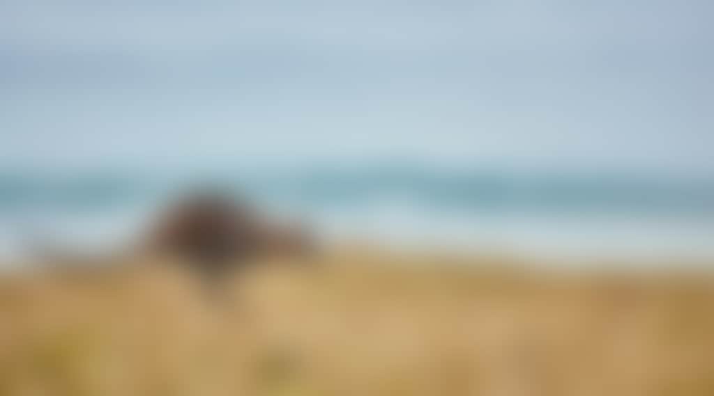 PI2202 CARAVAN CAMPING WEB 3 K 079