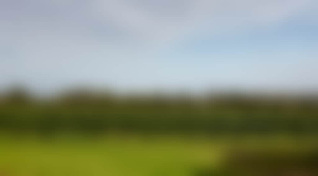 36F2B2864Db1E4Aa20990Ad8Bcc47275