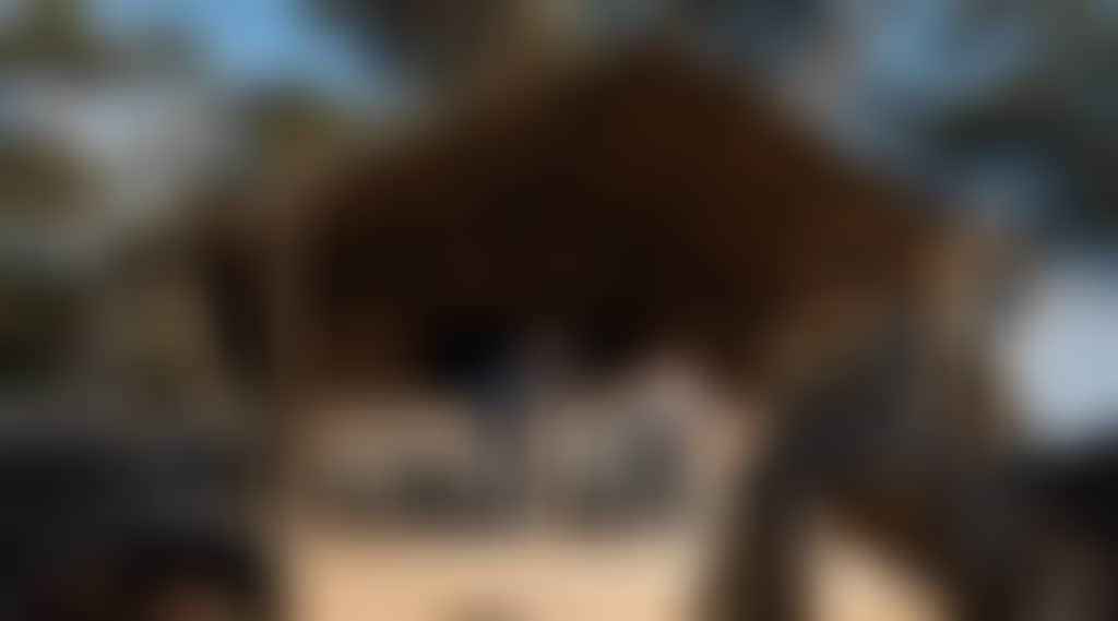 3643A2A312527B0C04E14B5A89Bd198B